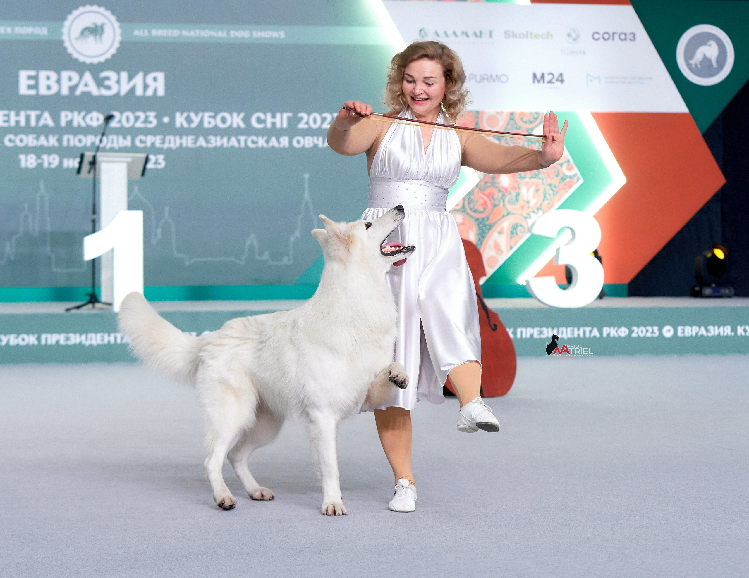 Обидиенс и танцы с собаками — галерея NATRIEL