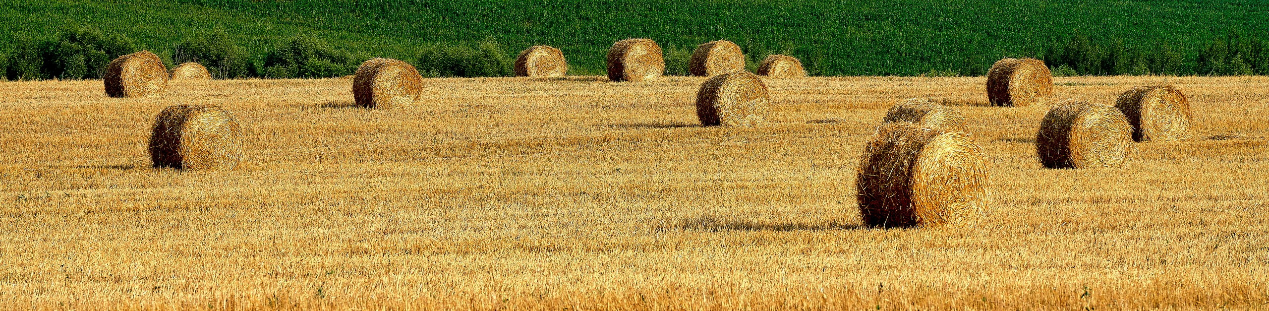 Пейзаж — галерея NATRIEL