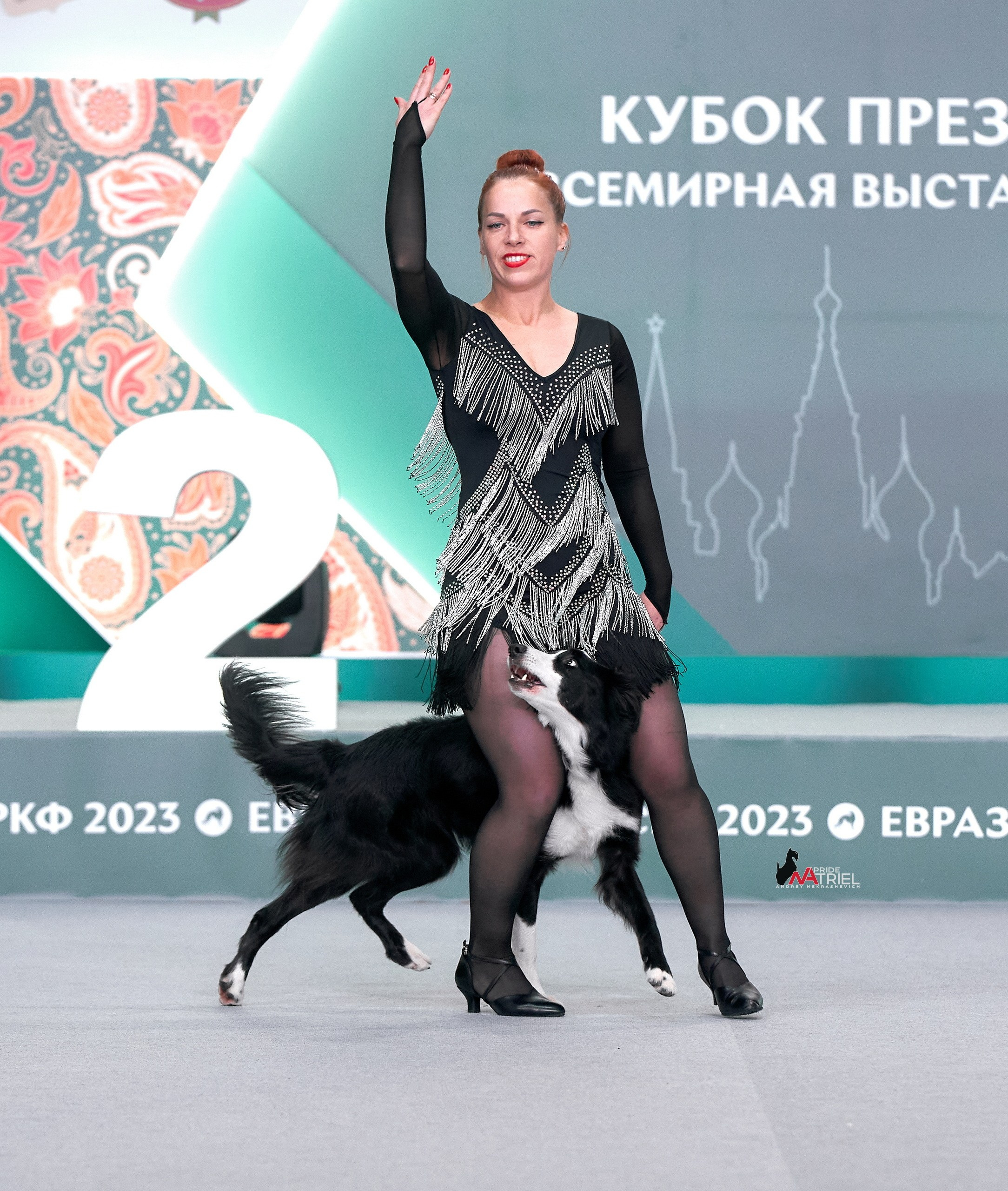 Обидиенс и танцы с собаками — галерея NATRIEL