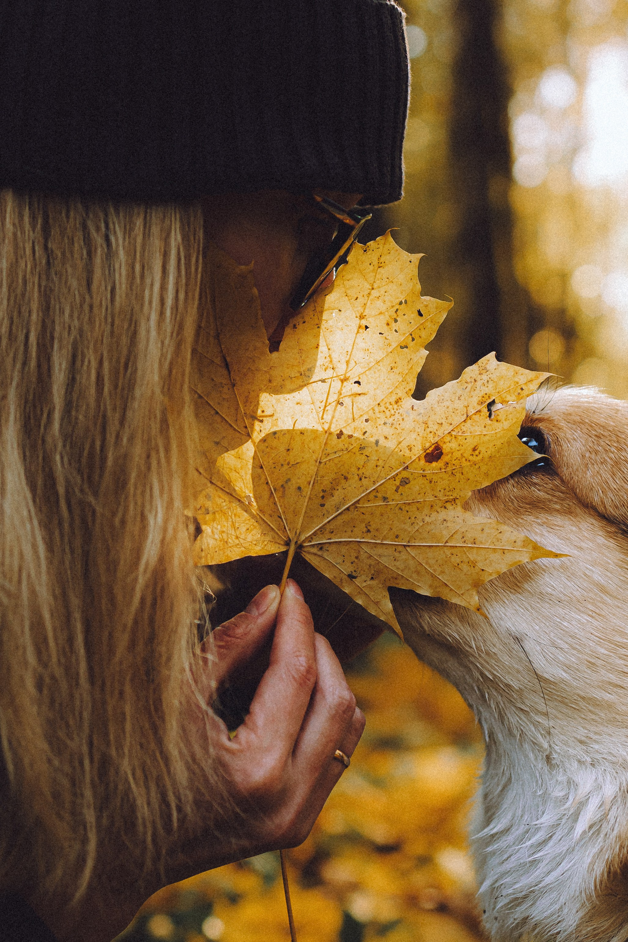 Карина, Даня и Аркаша