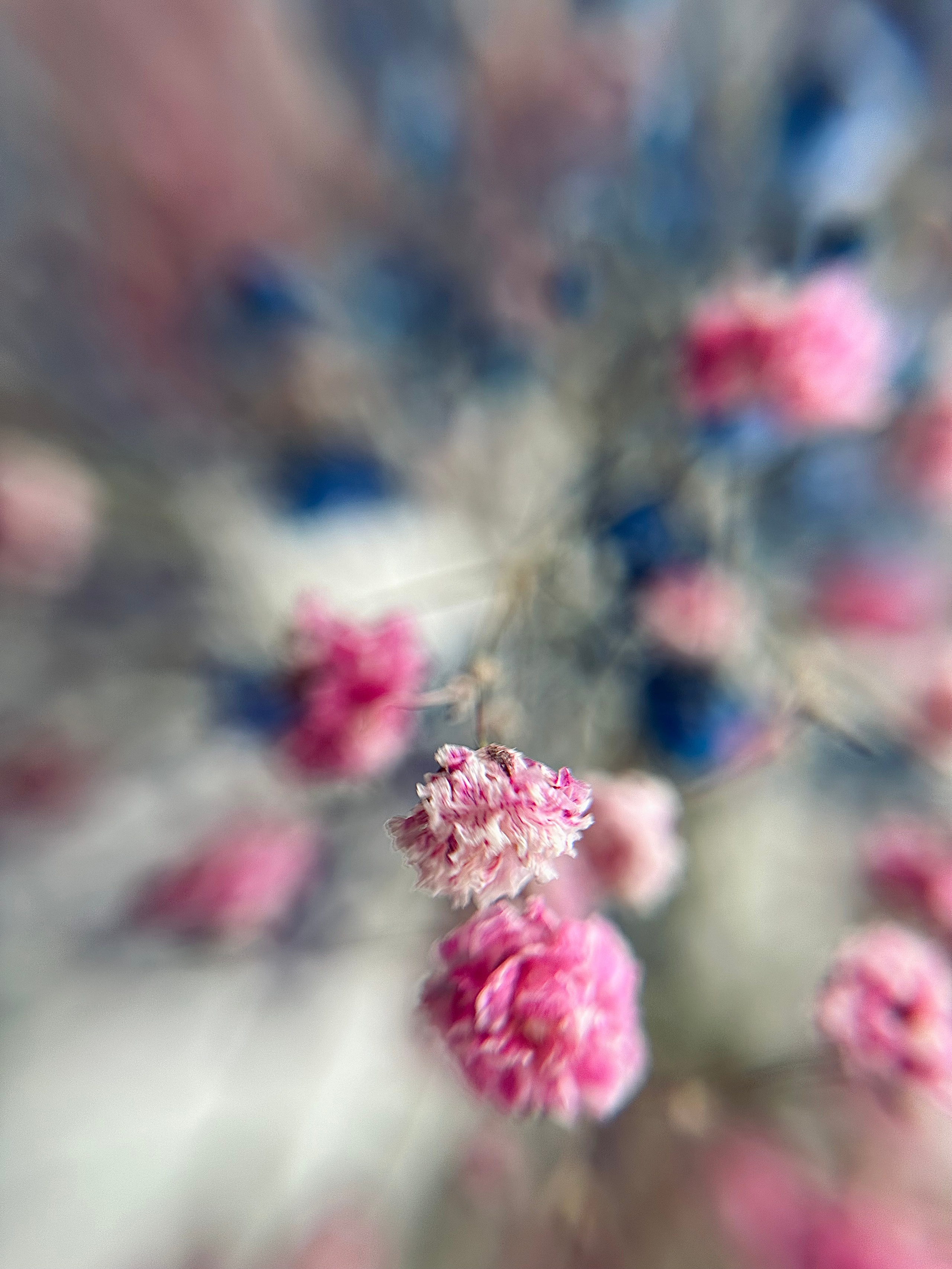 Мобильная фотография