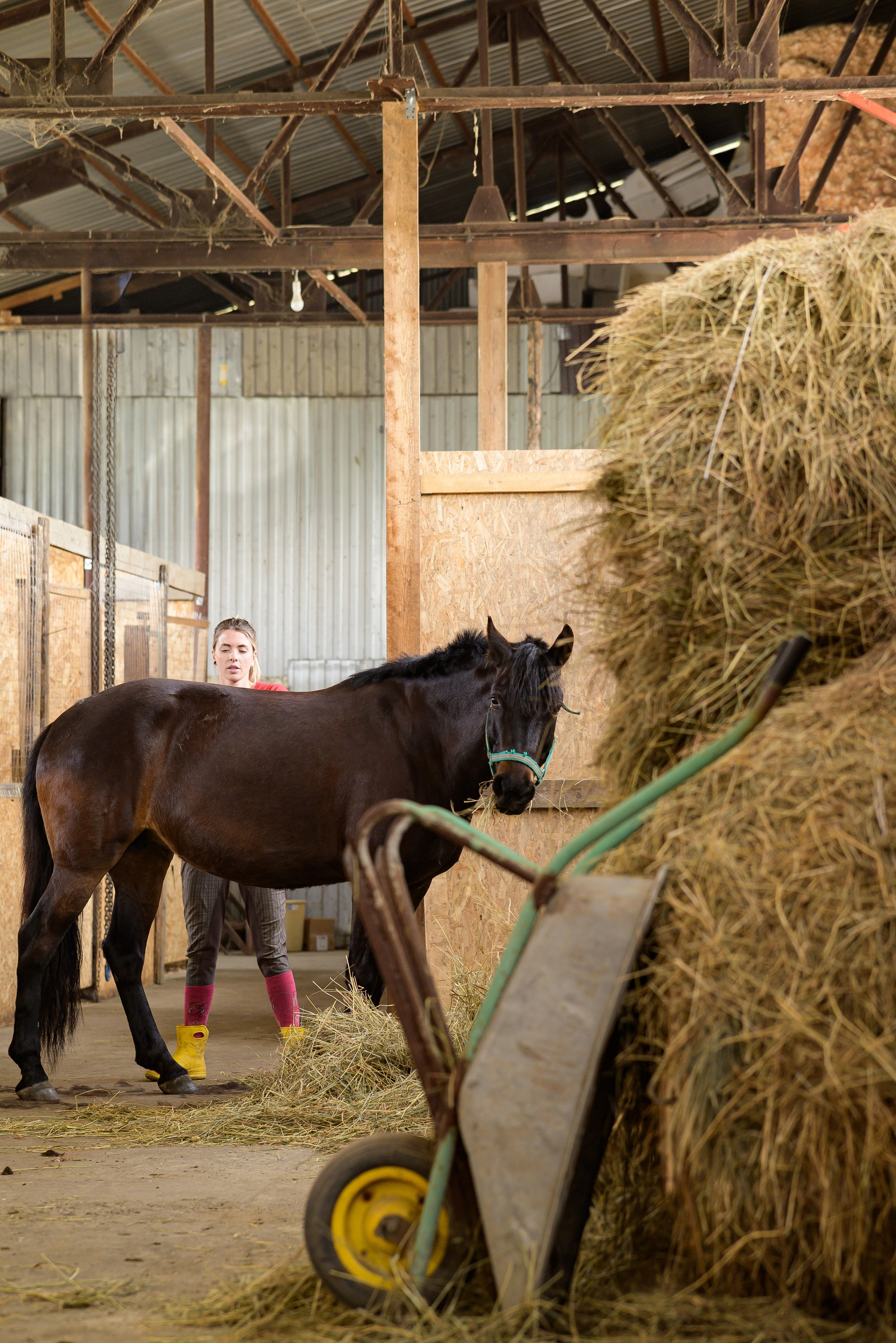 Съёмки с лошадьми. Фотограф Краснодар Наталья Сувит