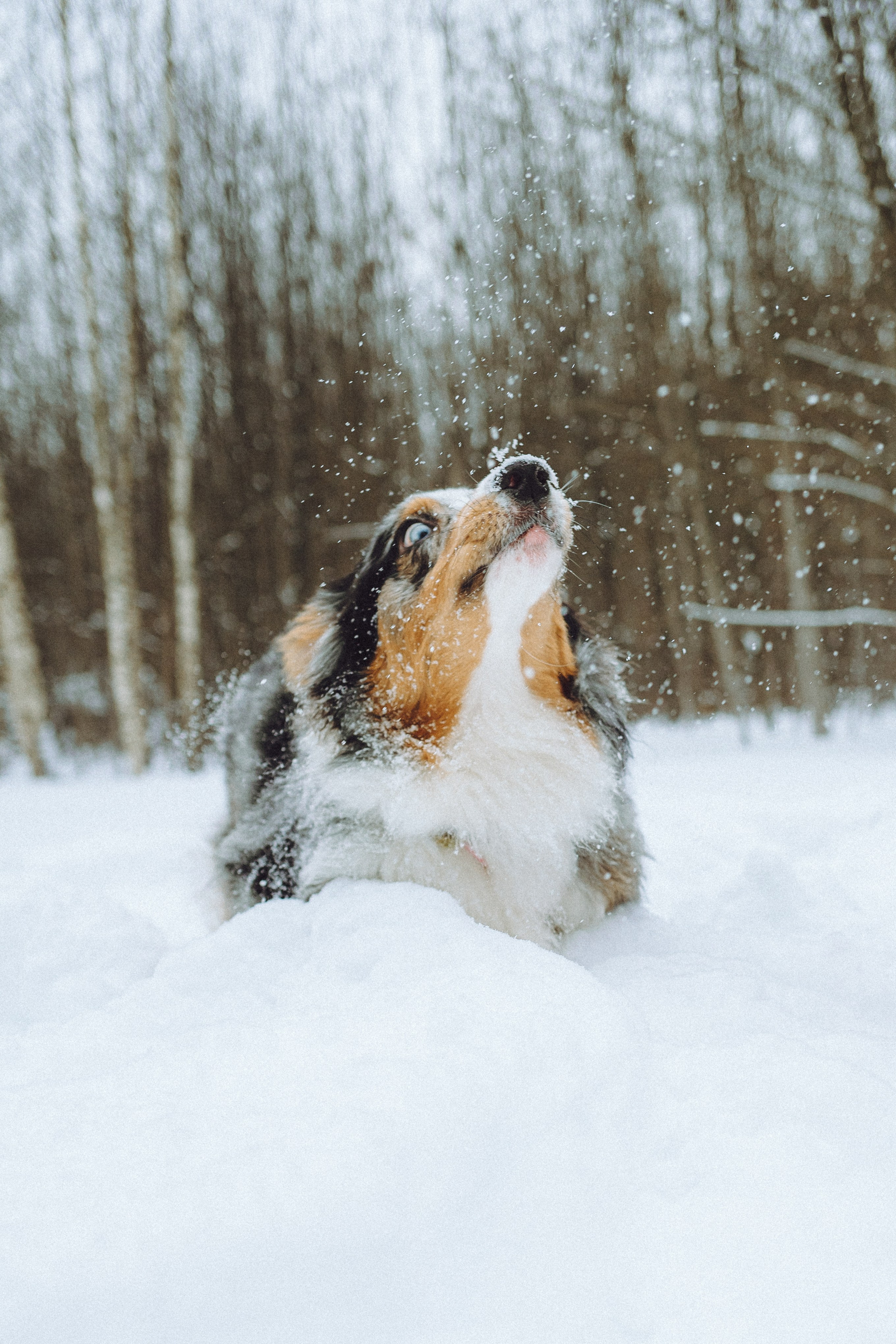 Фаня и ее семья