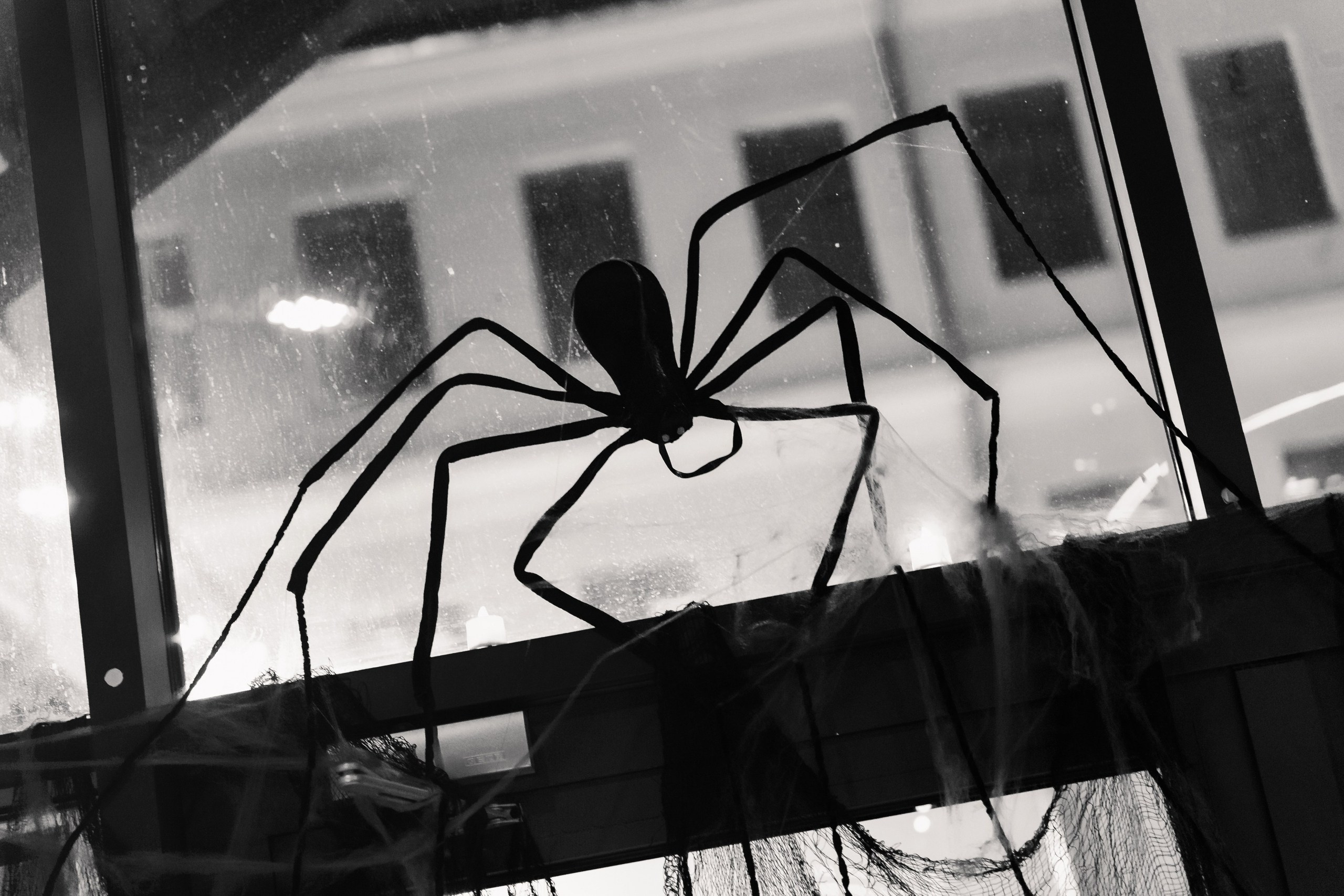 Буду Завтра — хэллоуин. Фотограф Ярославль — Роман Андреев