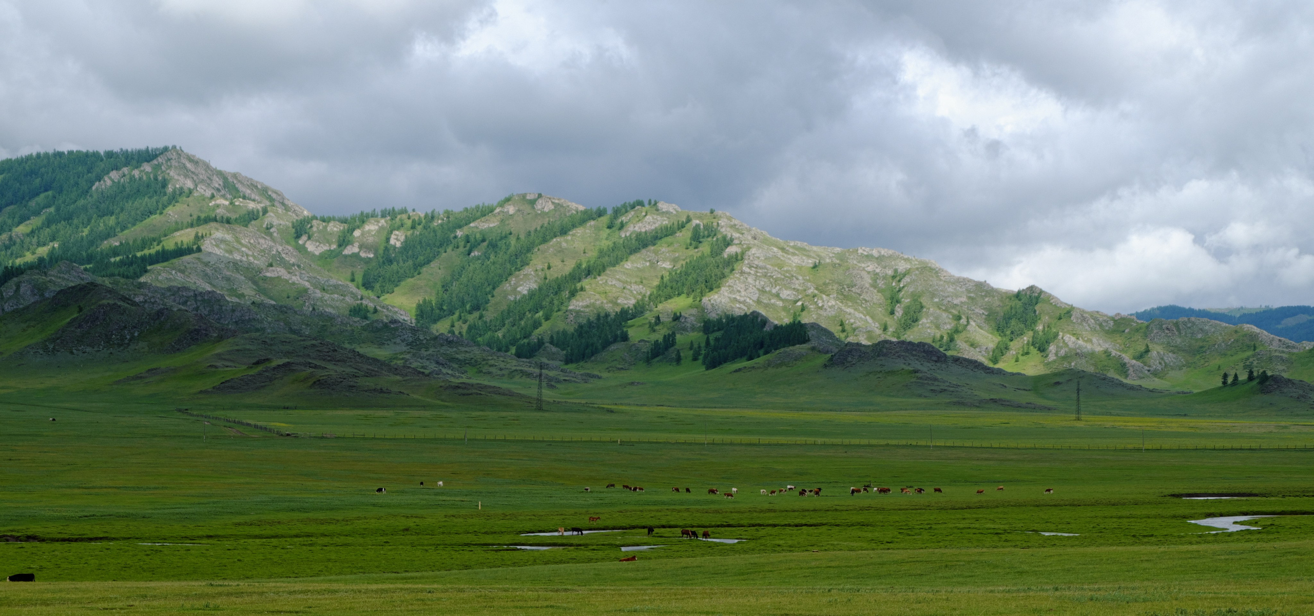 Алтай. Антон Великий