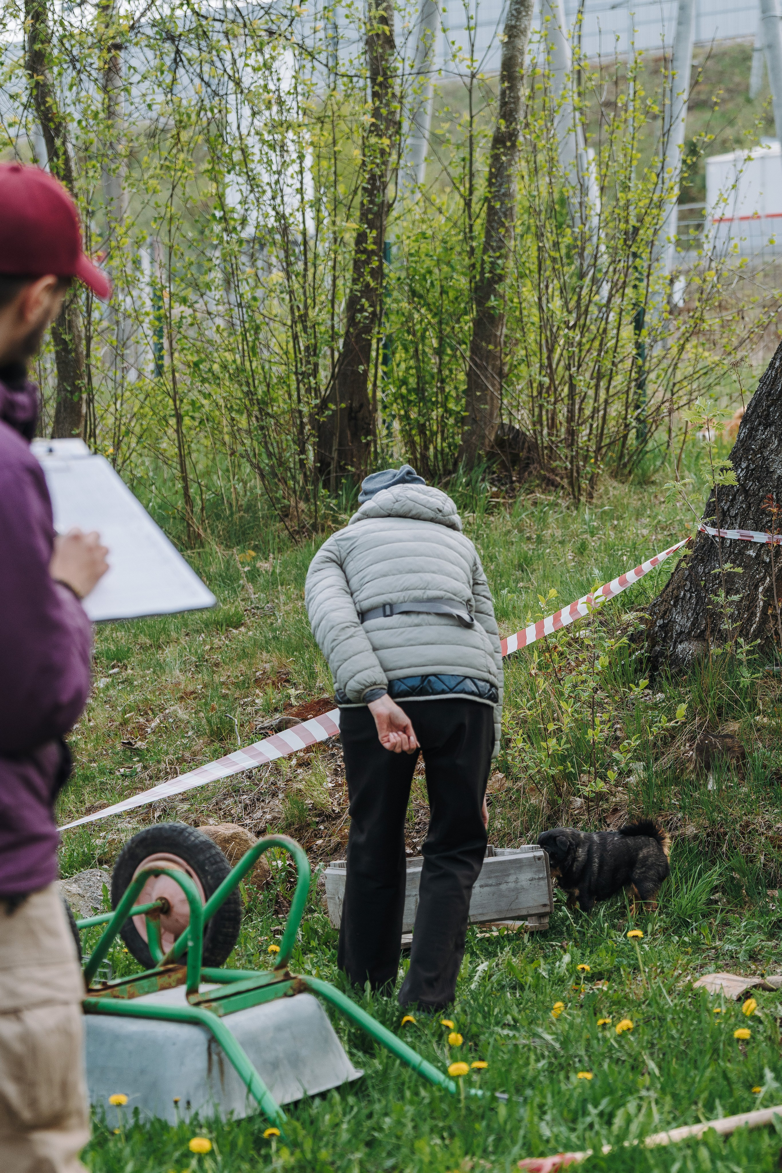 Соревнования по ноузворку в Лосево. Фотограф анималист в Спб недорого Олеся Майорова
