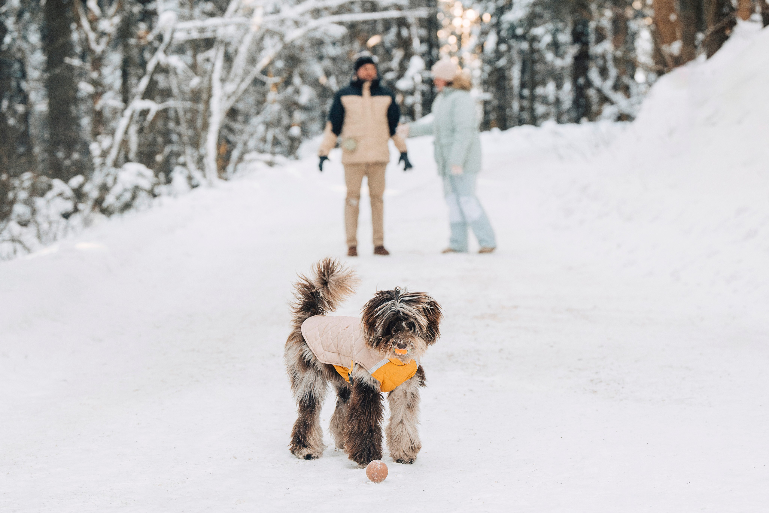 Хэйзел и её семья. Фотограф анималист в Спб недорого Олеся Майорова