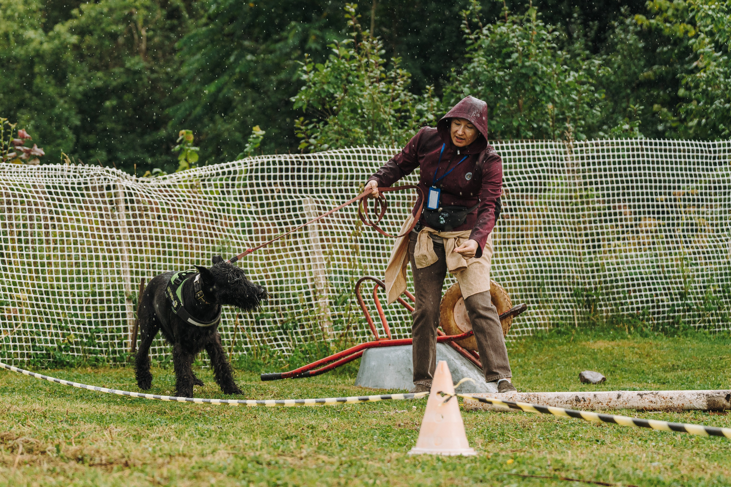Соревнования по ноузворку в Новожилово. Фотограф анималист в Спб недорого Олеся Майорова