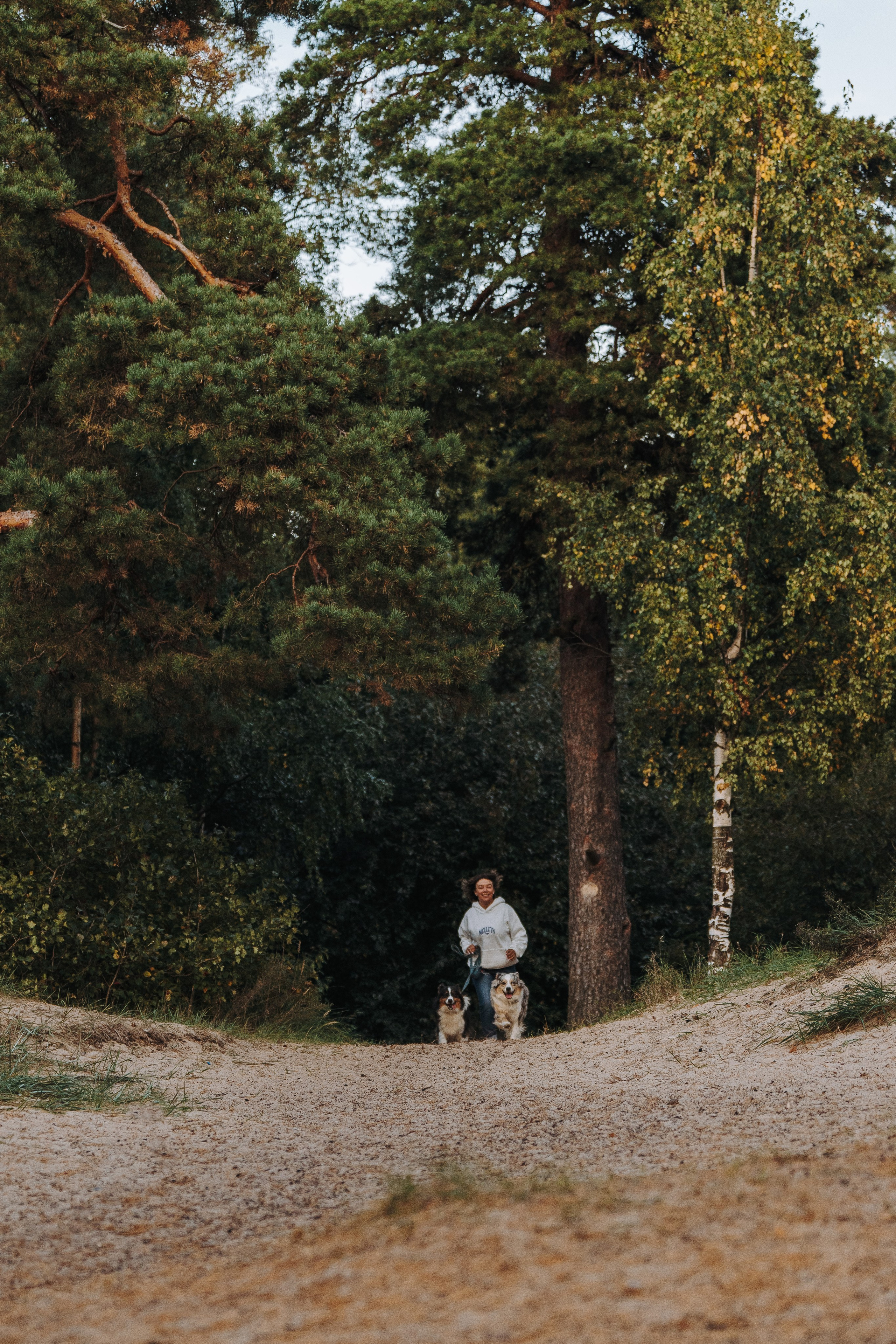 Фотограф анималист в Спб. Фотограф анималист в Спб недорого Олеся Майорова
