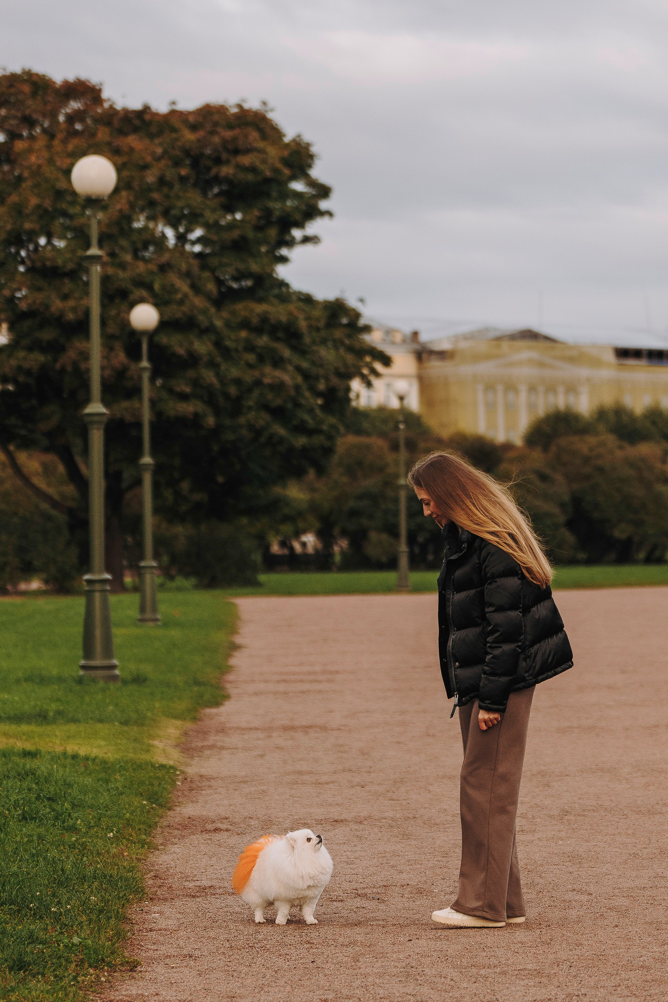 Фотосессия с померанским шпицем. Фотограф анималист в Спб недорого Олеся Майорова