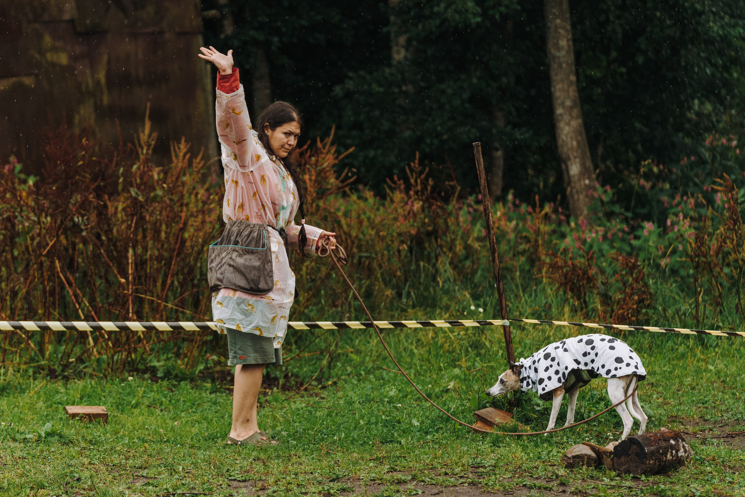 Соревнования по ноузворку в Новожилово. Фотограф анималист в Спб недорого Олеся Майорова