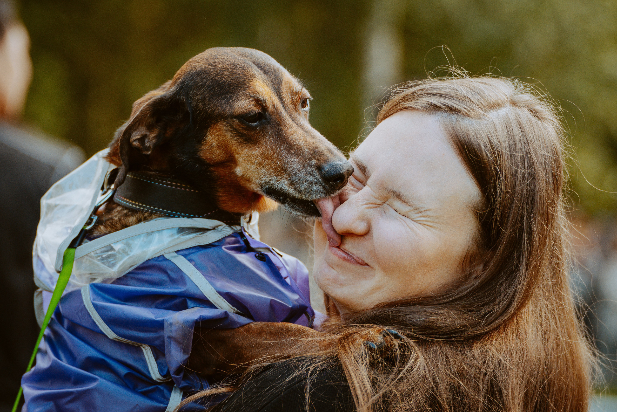 Такспарад. Фотограф анималист в Спб недорого Олеся Майорова