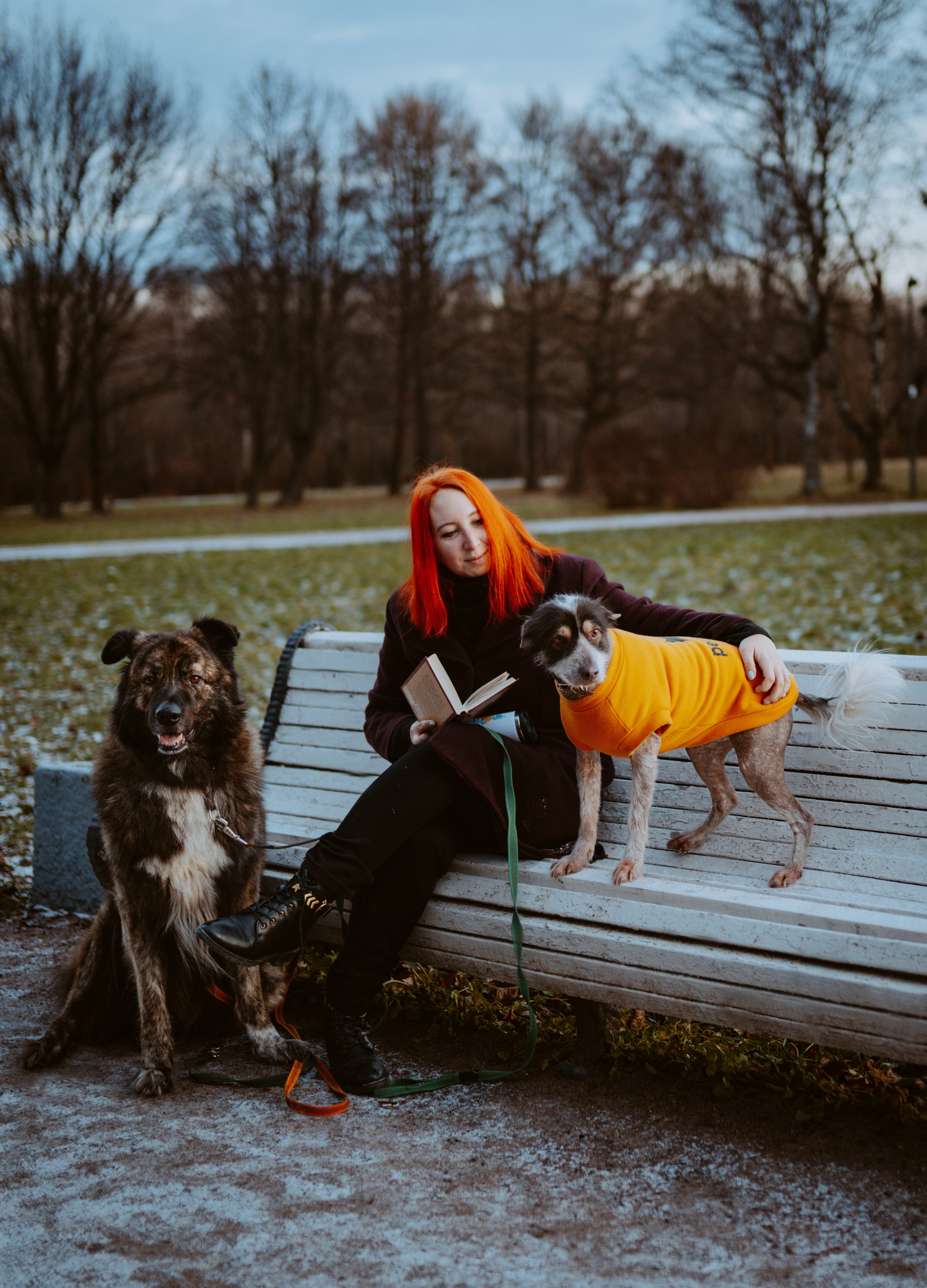 Творческая фотосессия фотографа анималиста. Фотограф анималист в Спб недорого Олеся Майорова