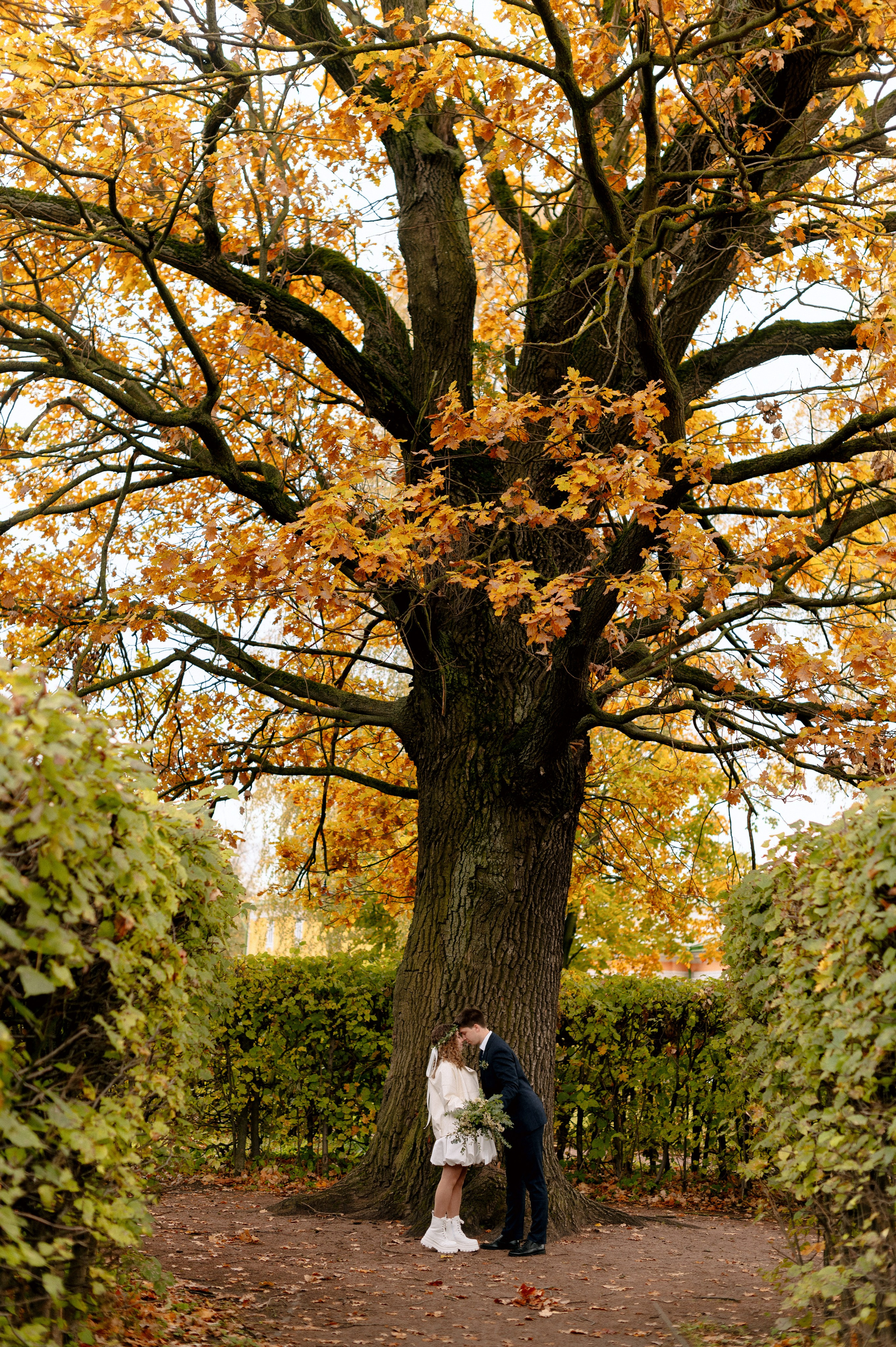 НАСТЯ и ДАНЯ. Шашкова Вероника / Свадебный и семейный фотограф Москва и Ярославль
