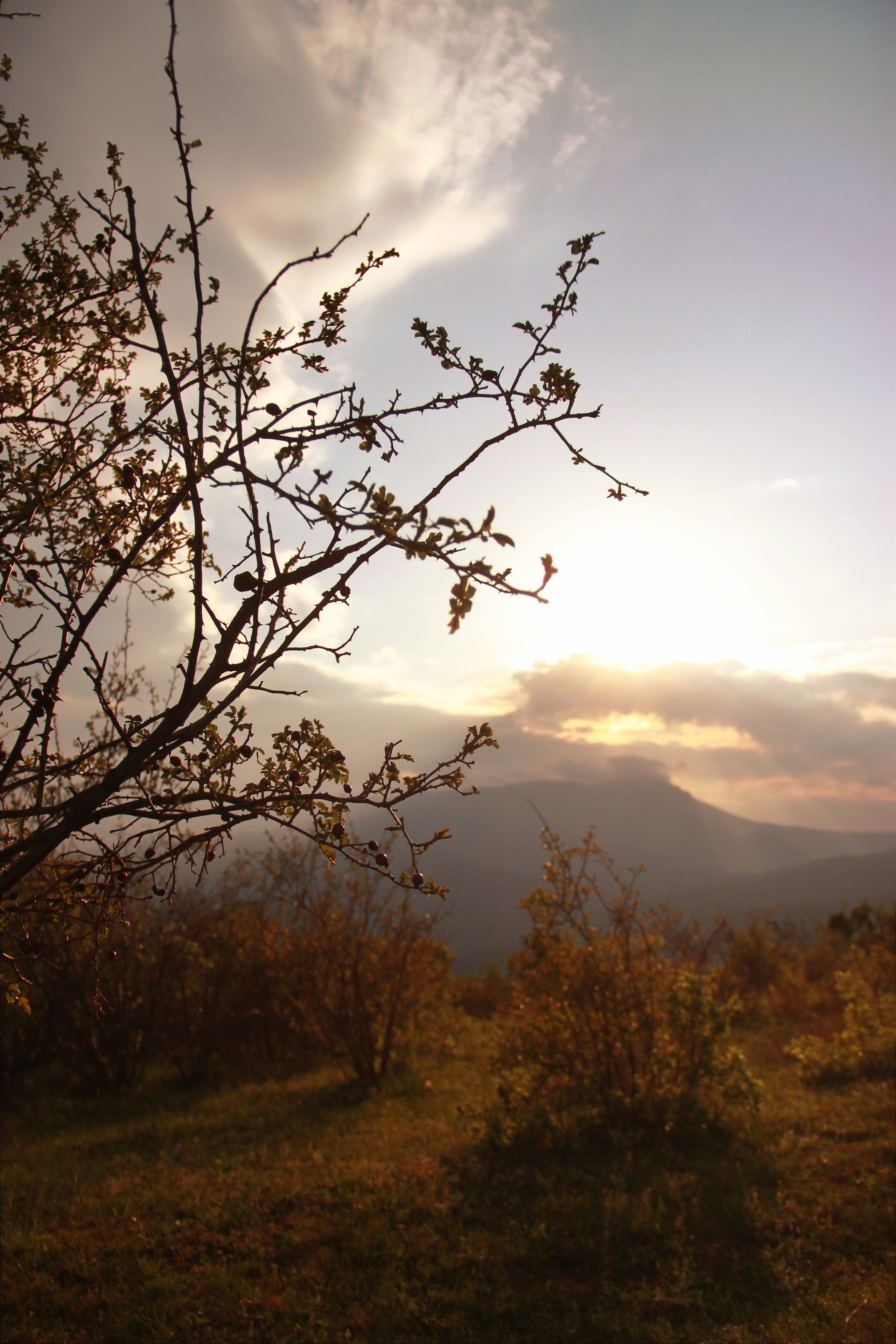 Крым. Фотограф и видеограф в Санкт-Петербурге