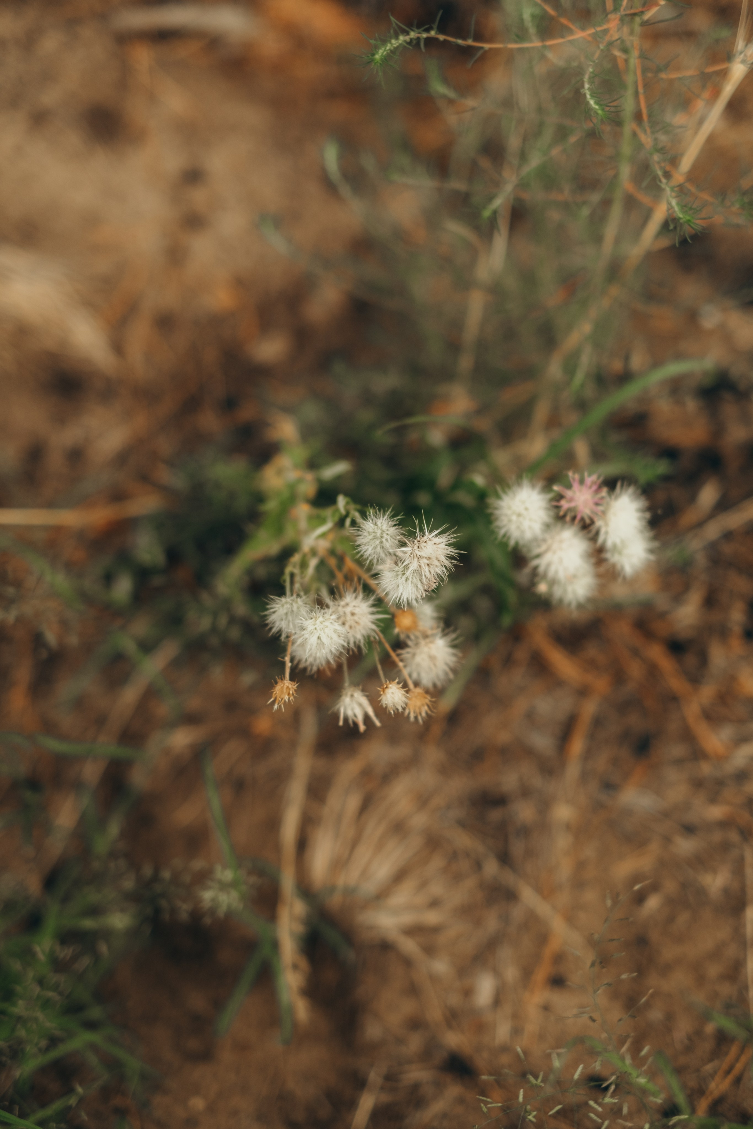 Воспоминания, которые мы создаем с семьей- бесценны. Фотограф в Москве Ольга Елоева