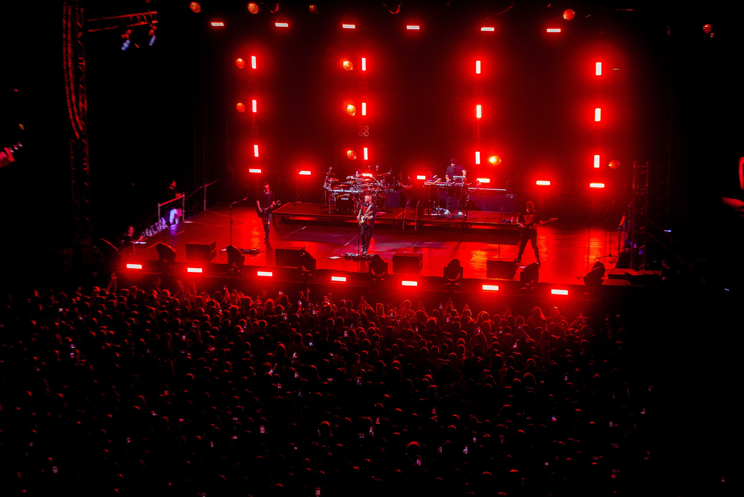 Звери 2025. Репортажный фотограф в Кемерово