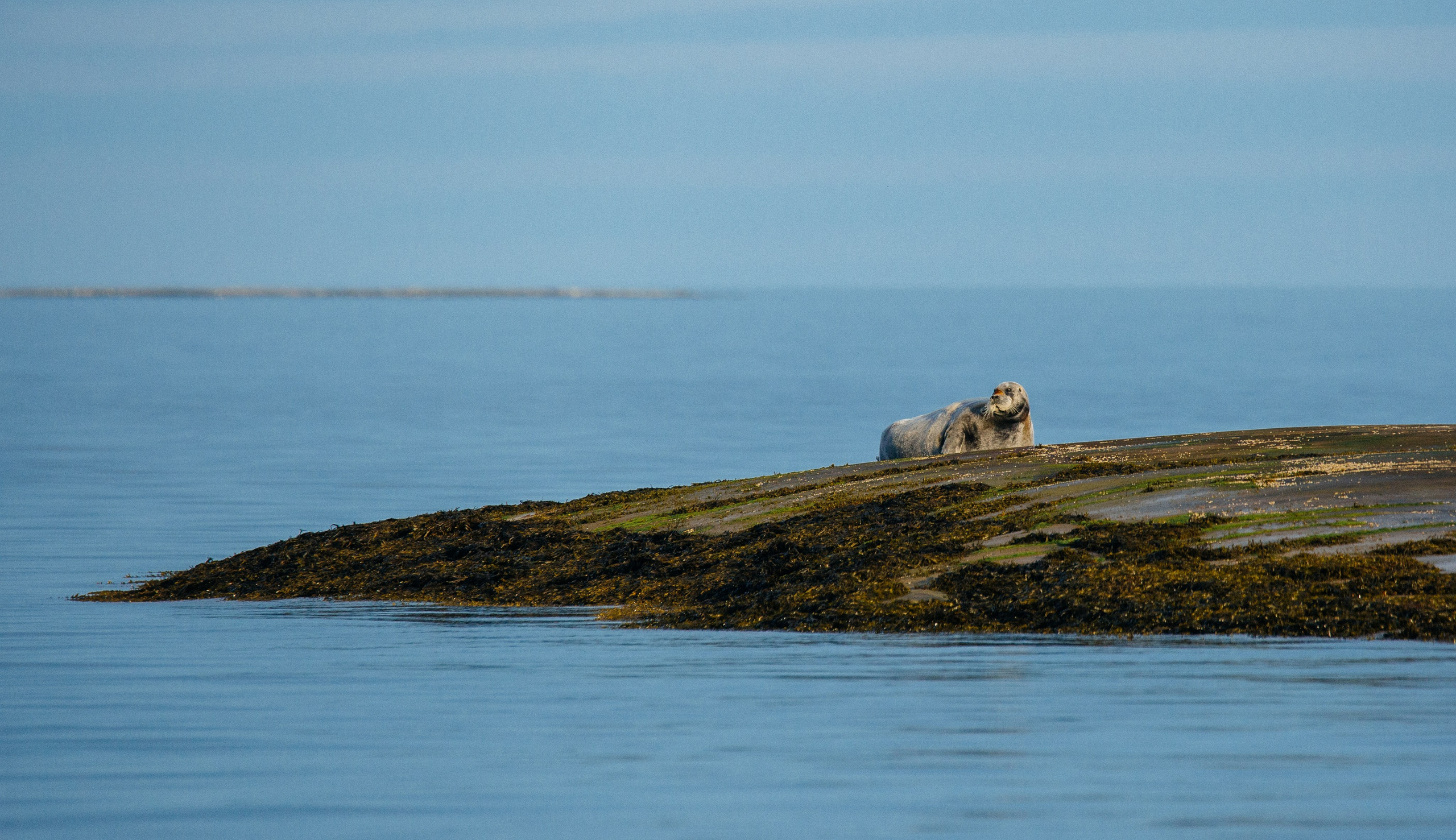 ЭТНОПАРК ГЕОГРАФИКА. Создание контента | Фото | Видеосъемка | Александр Ярков