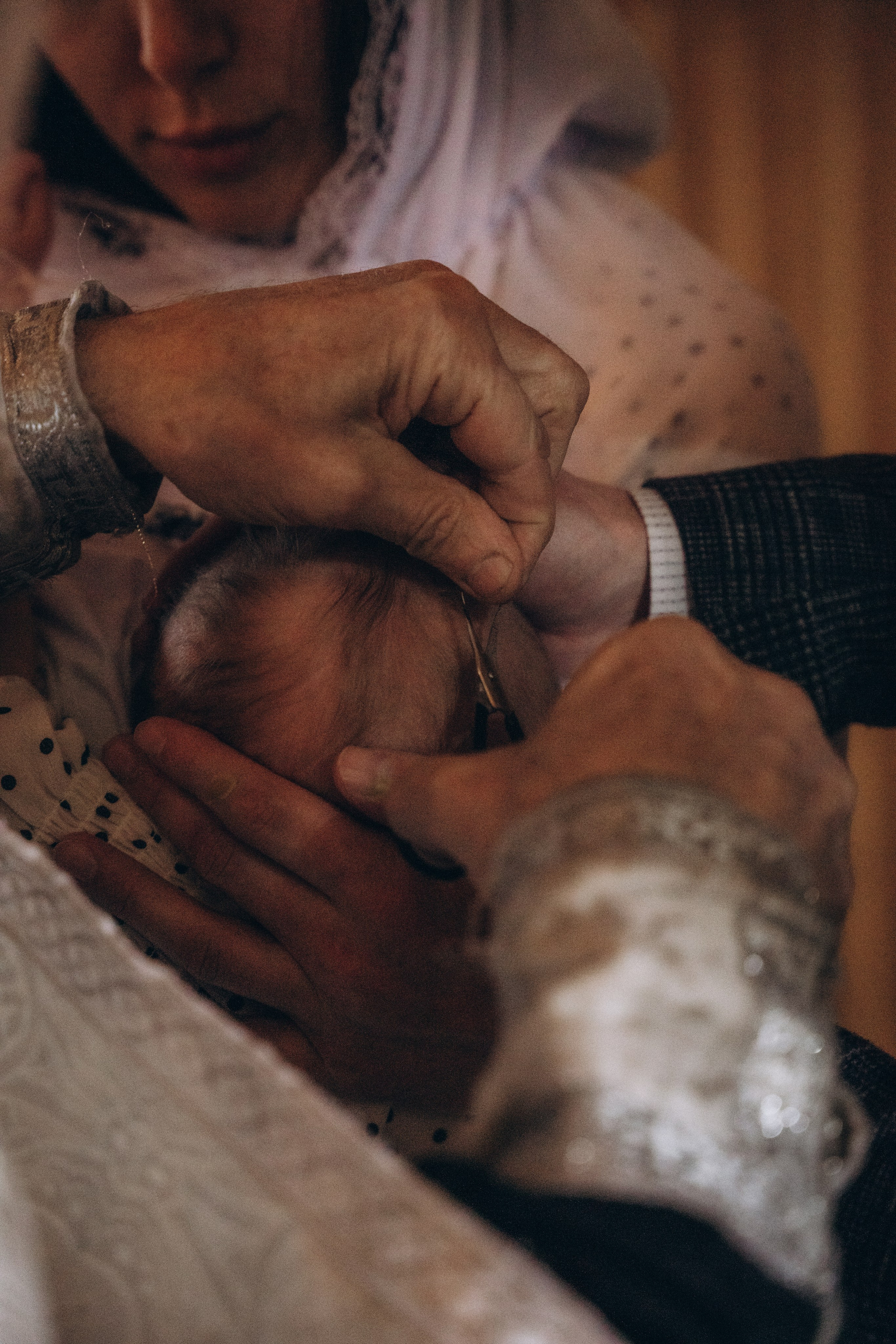 Тимофей. Аплас Анастасия