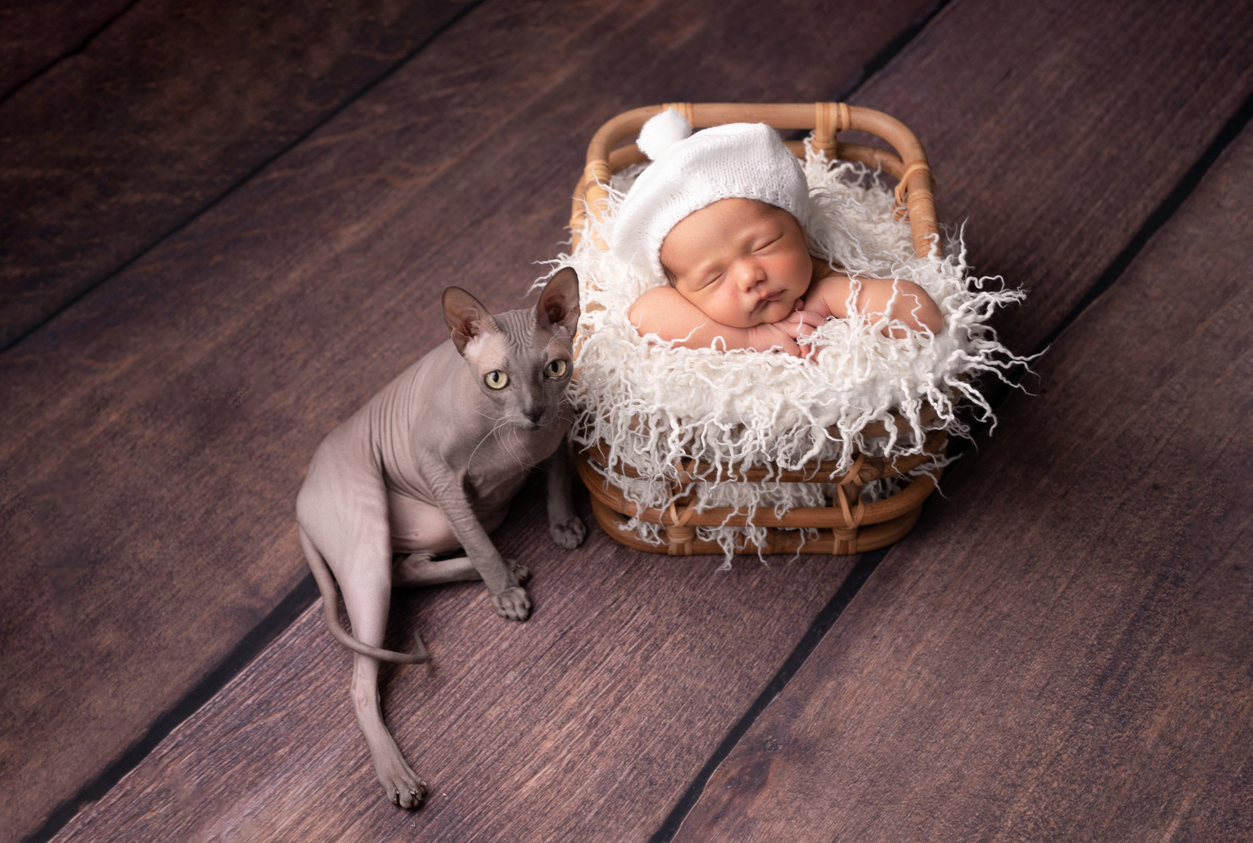 Новорожденные. Фотограф новорожденных в Санкт-Петербурге Татьяна Тарасенко