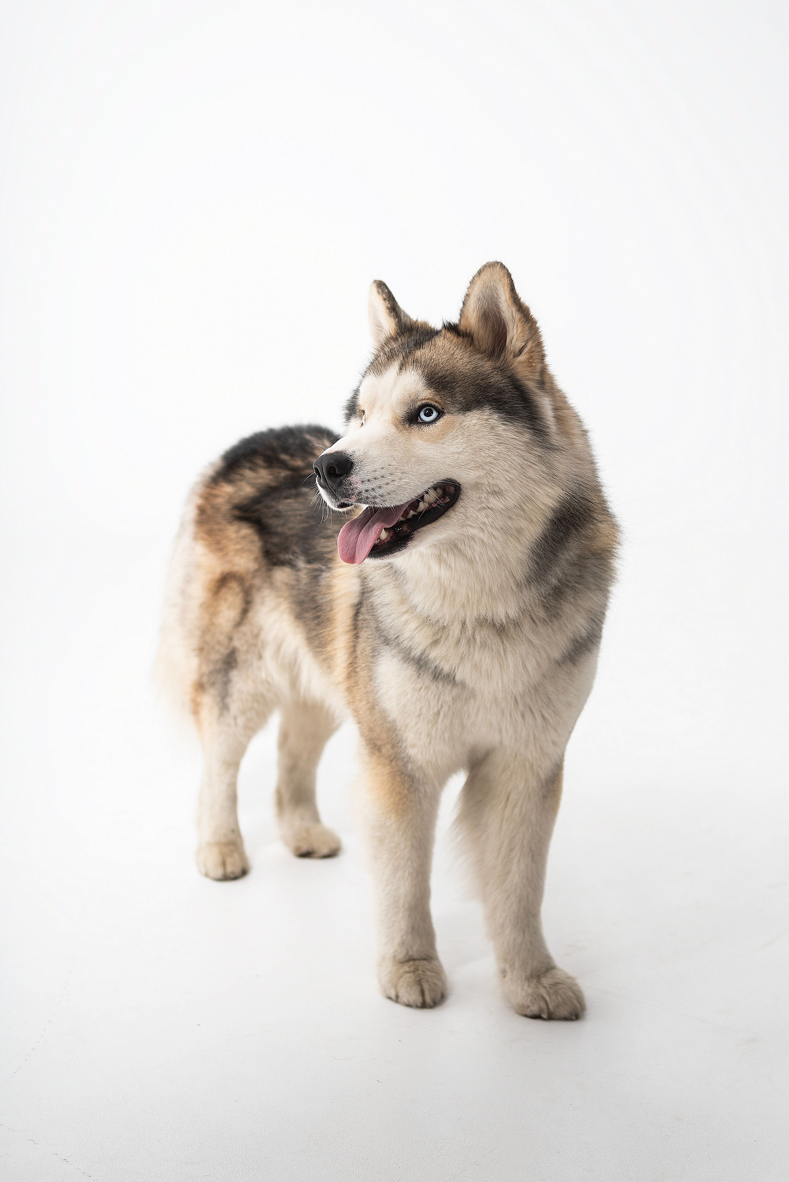 Театральная фотография. Фотограф в Санкт-Петербурге Степанская Юлия