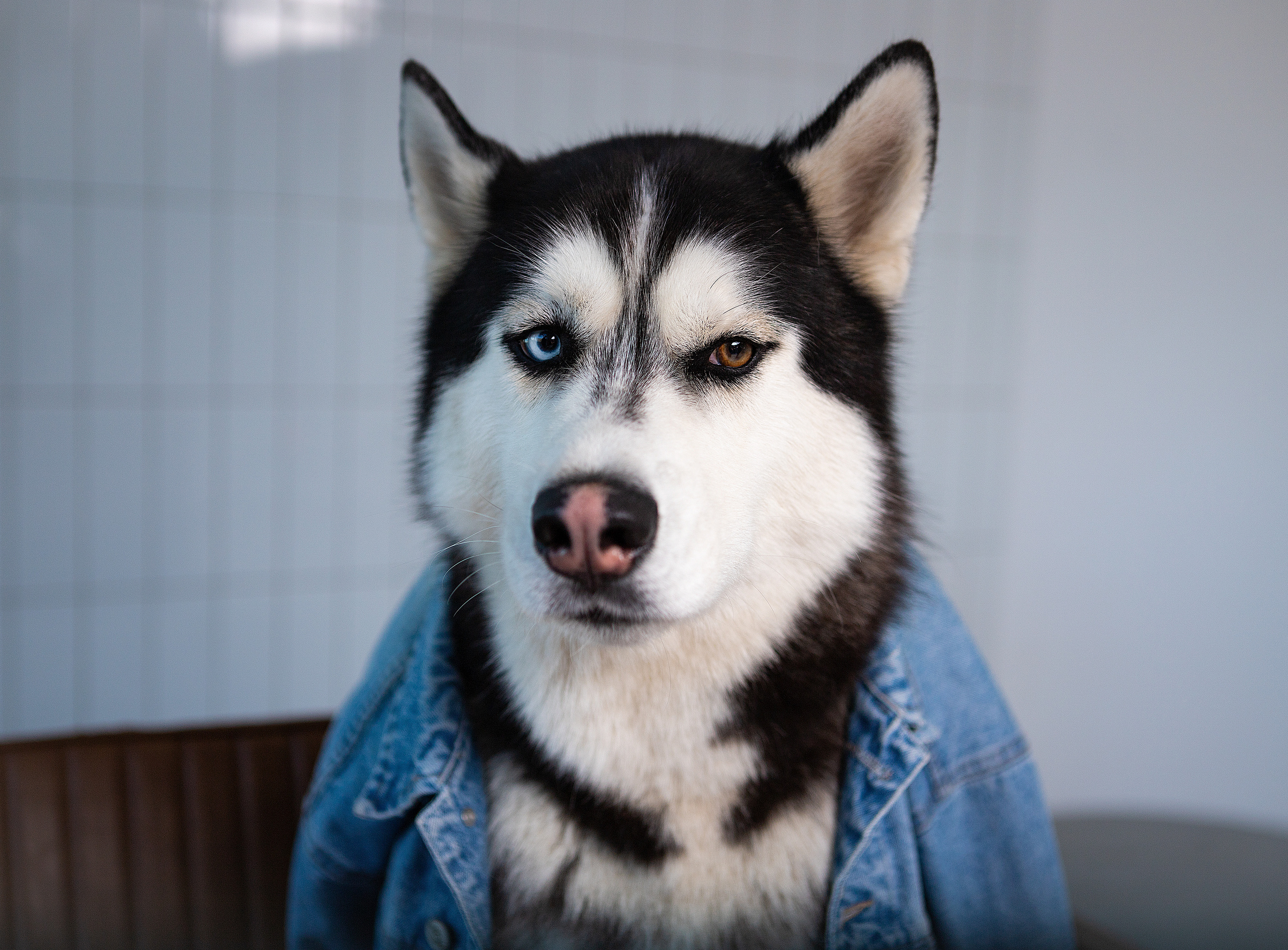 Театральная фотография. Фотограф в Санкт-Петербурге Степанская Юлия