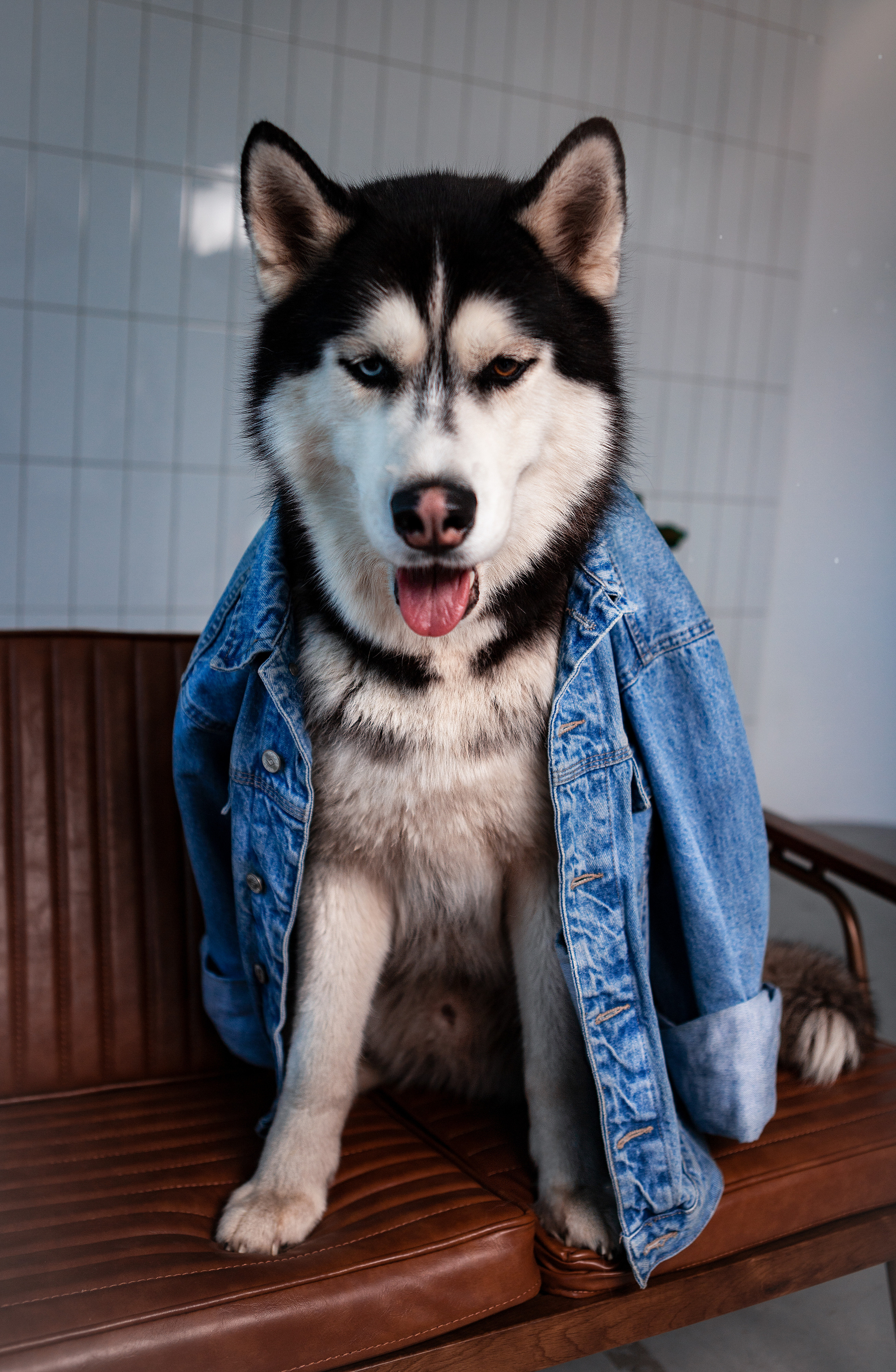 Театральная фотография. Фотограф в Санкт-Петербурге Степанская Юлия