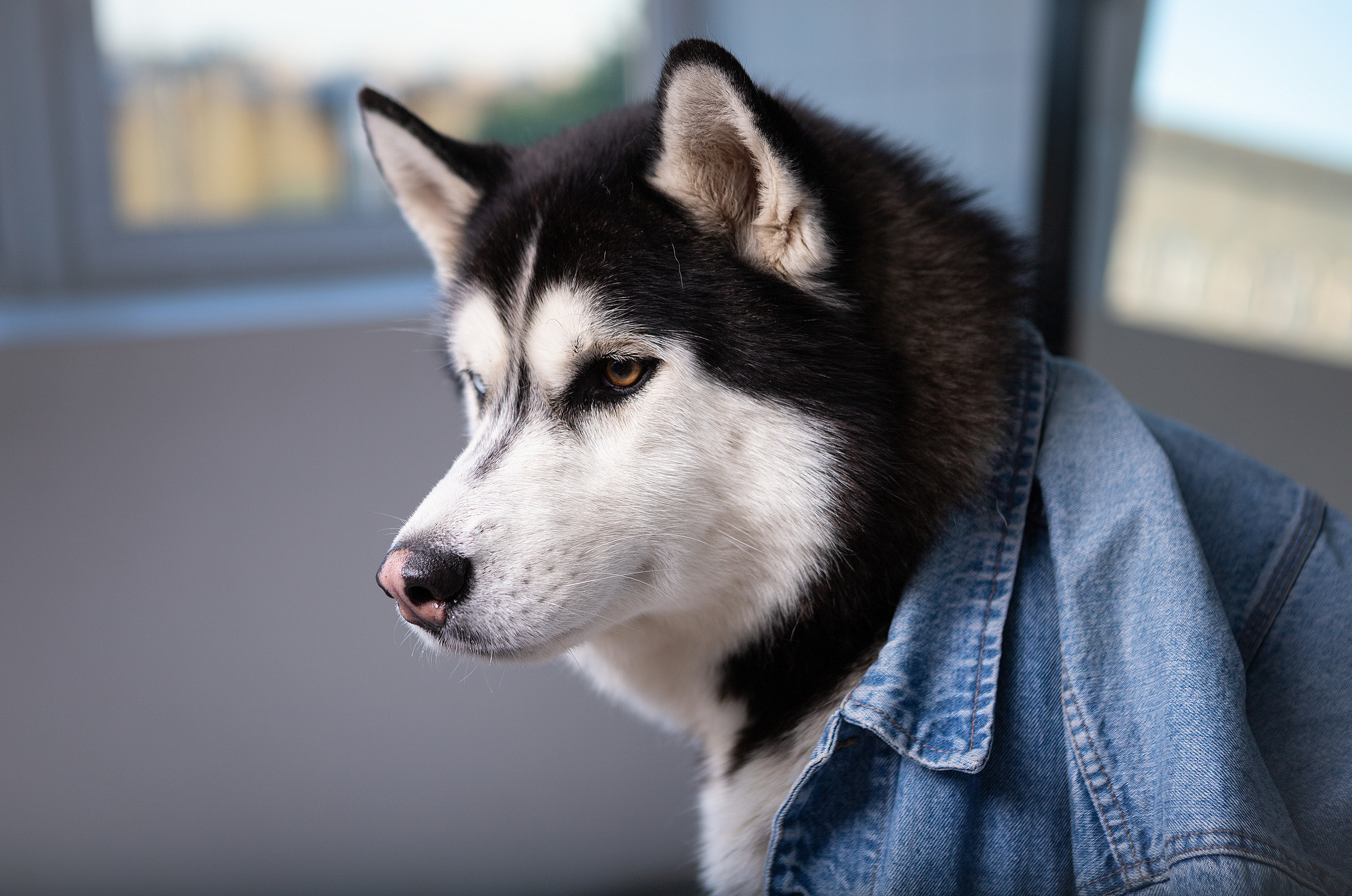Театральная фотография. Фотограф в Санкт-Петербурге Степанская Юлия