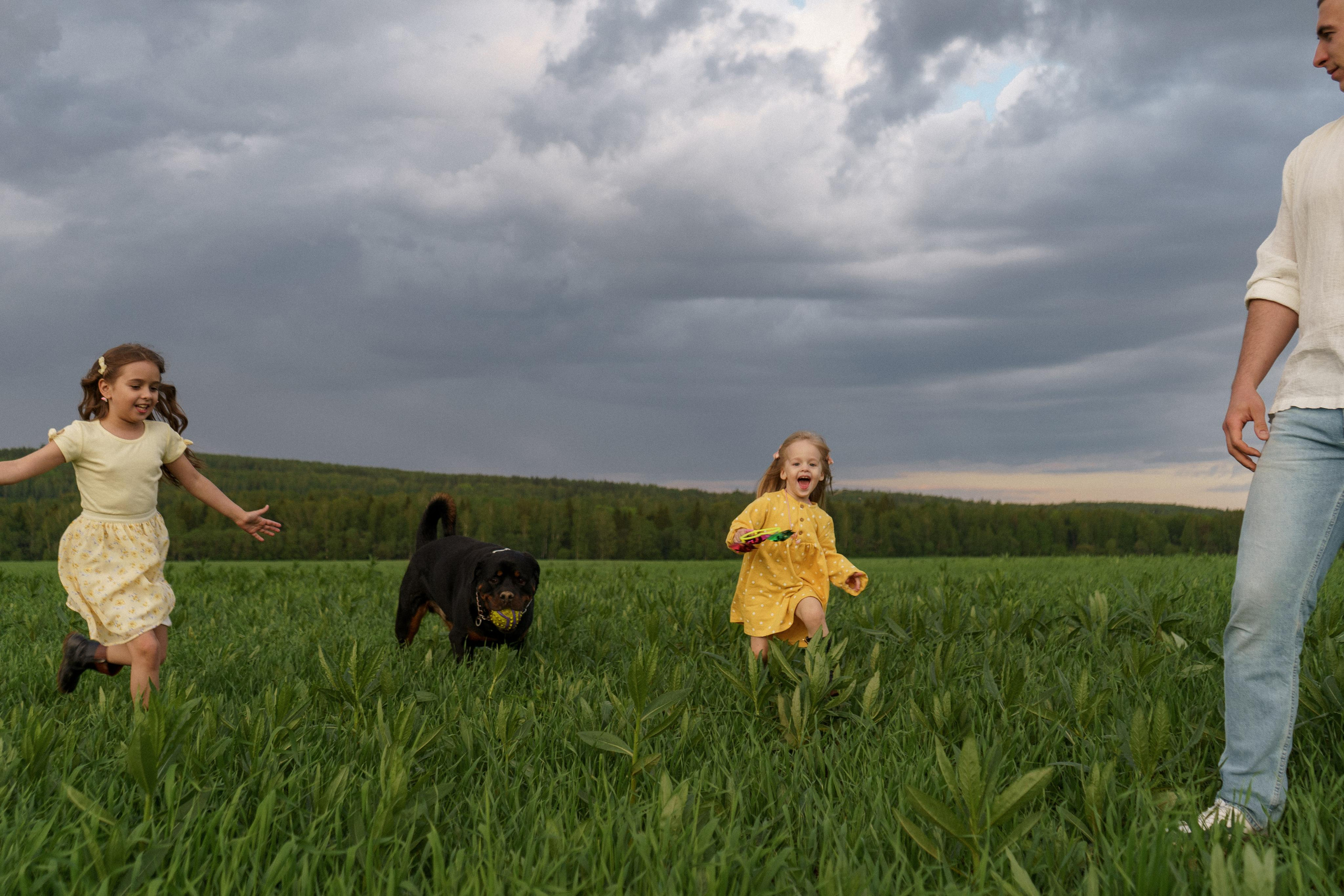 Июль. Свадебный фотограф Анастасия Хабарова в Новоуральске и Екатеринбурге