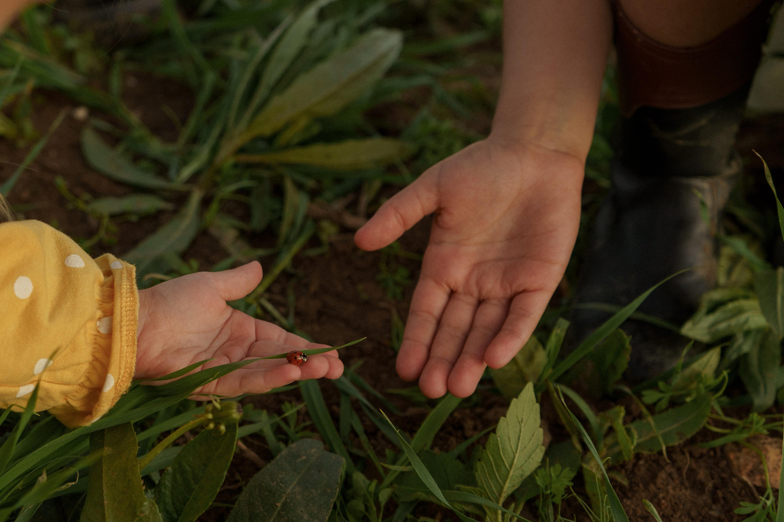 Июль. Свадебный фотограф Анастасия Хабарова в Новоуральске и Екатеринбурге