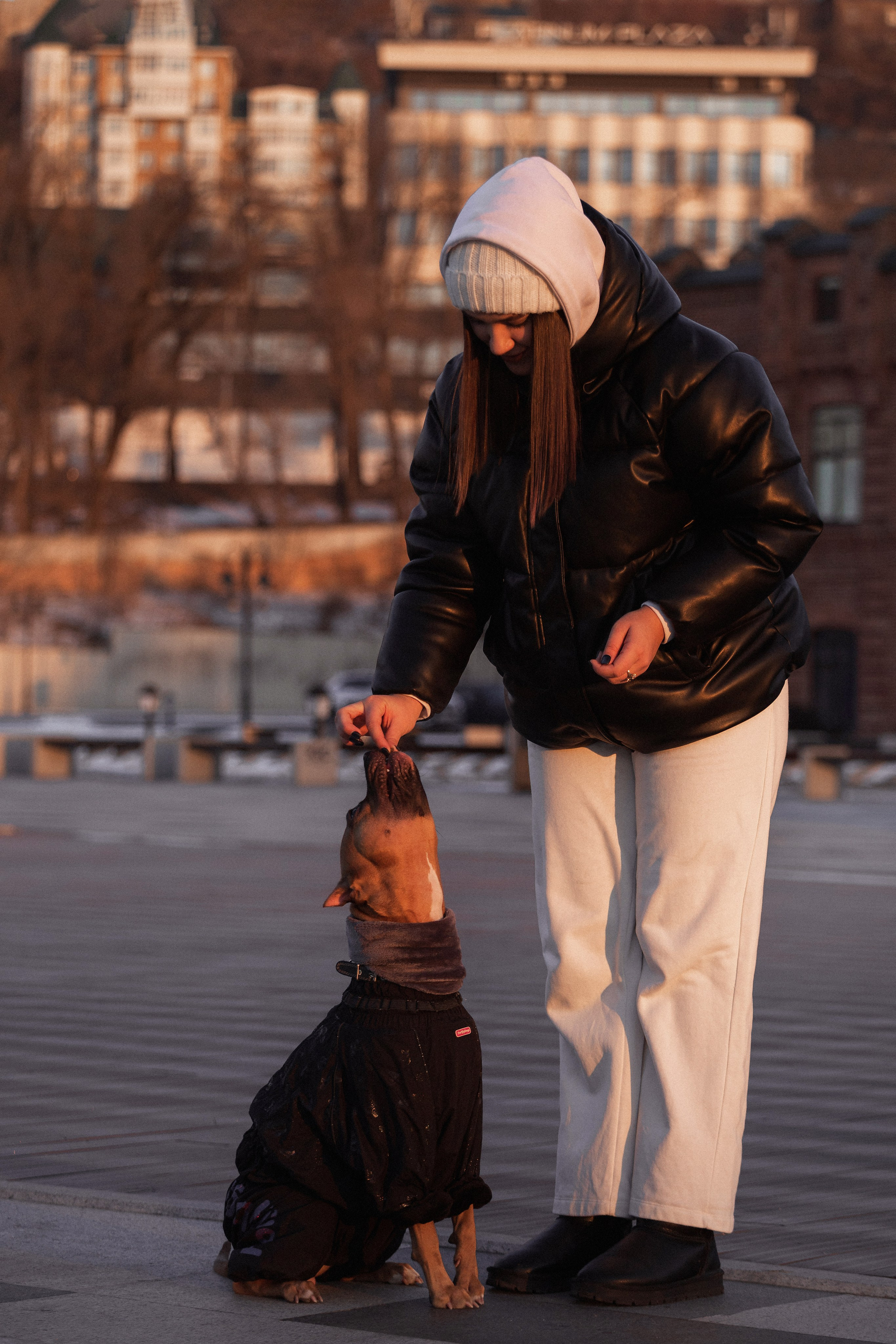 Арина и Стэфи. Фотограф — анималист Владивосток, Алина