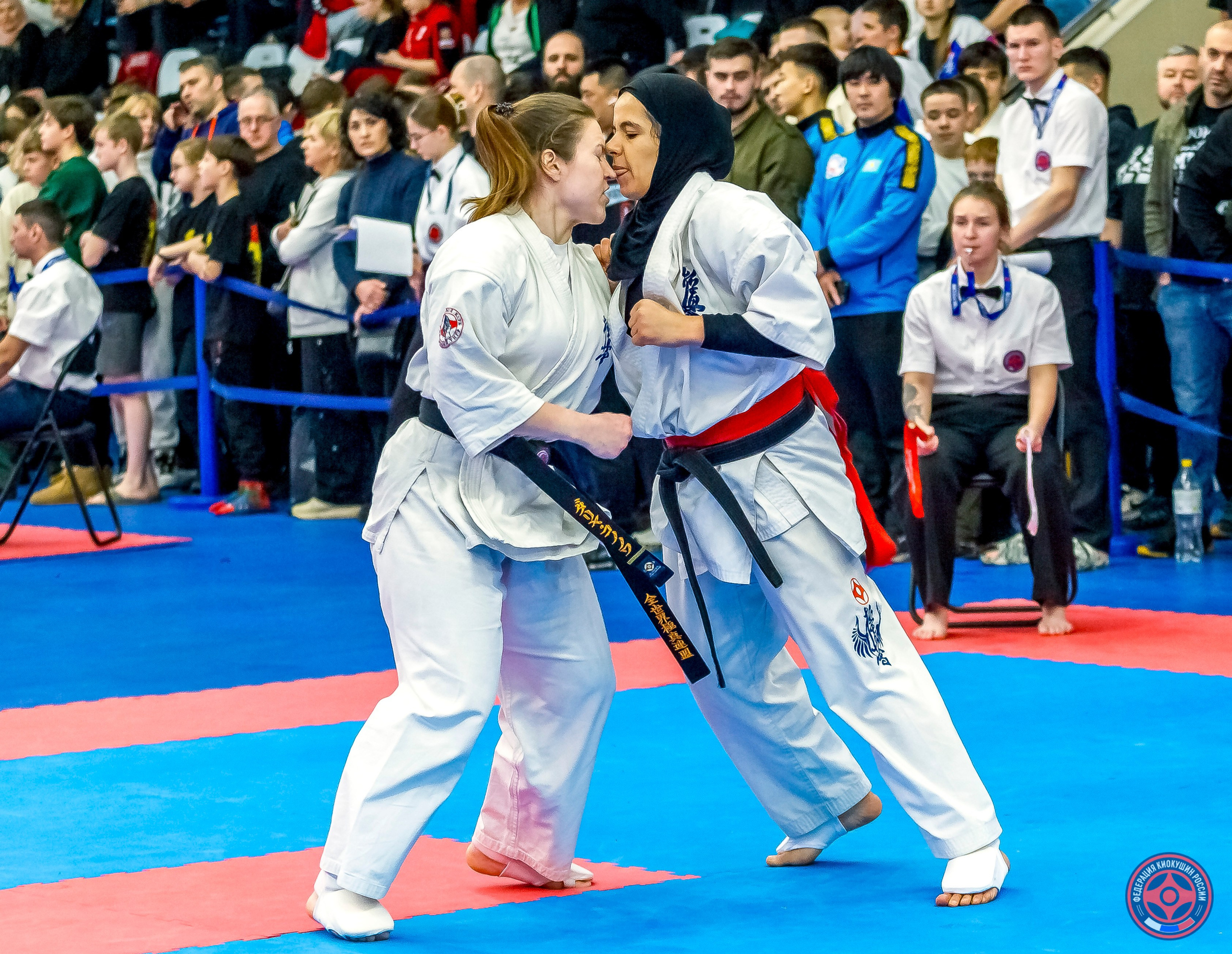 Международный турнир по киокушин «Открытый кубок Seiken». Репортажная съемка в Москве и области. Анималистика