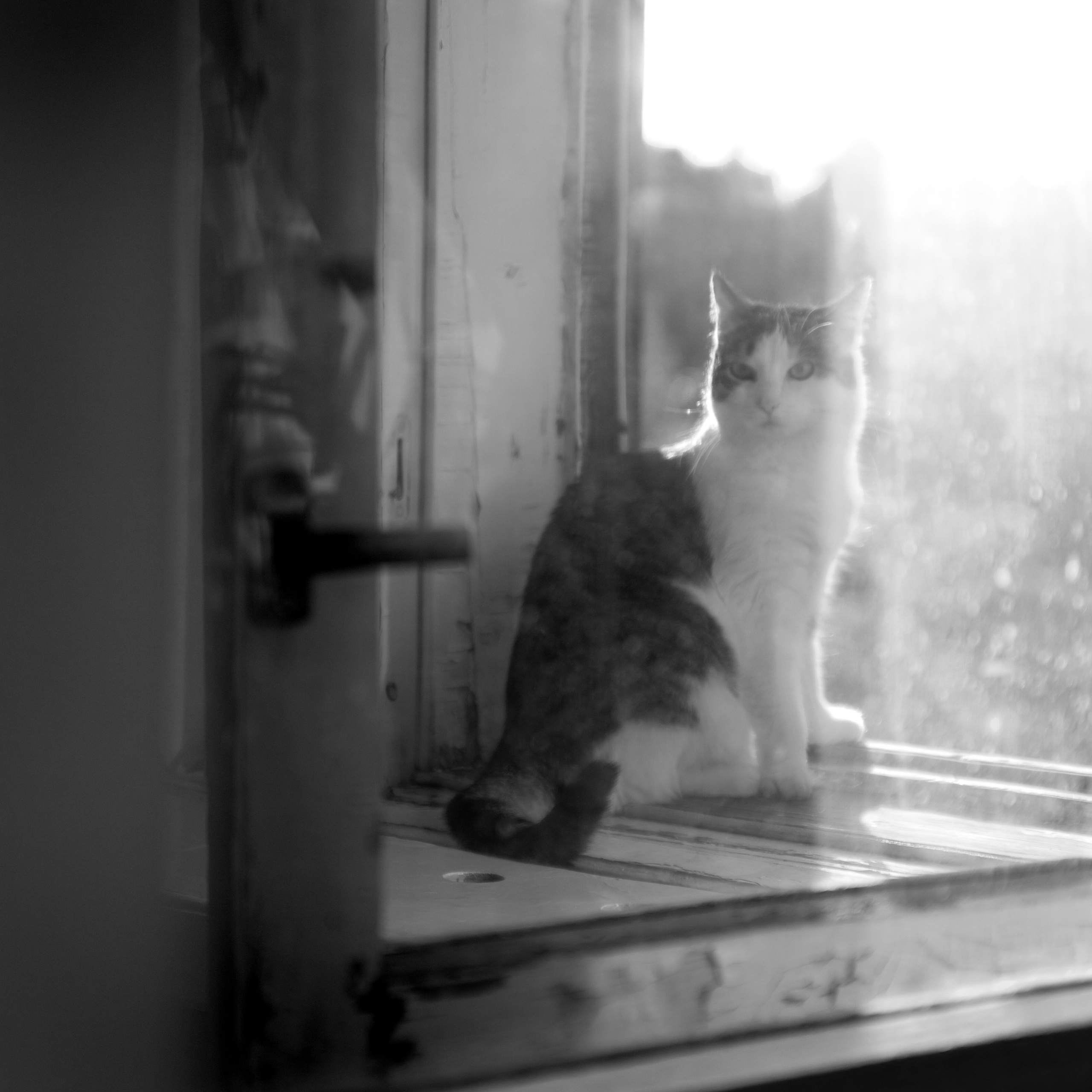 Бесчеловечно. натюрморт. пейзаж. Мастерская Демченко