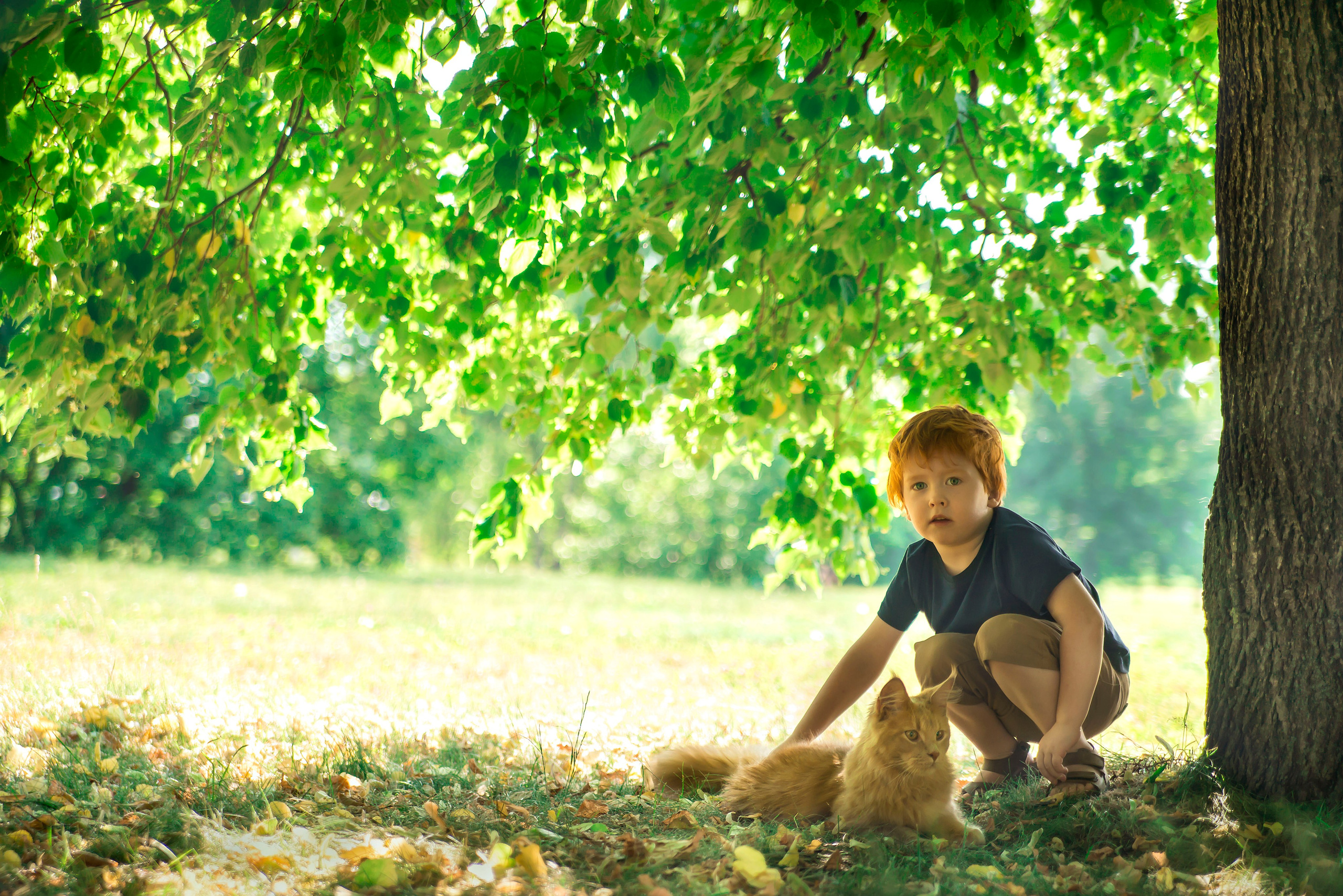 Семейные фотосессии. Фотограф в Москве Аня Цыплакова