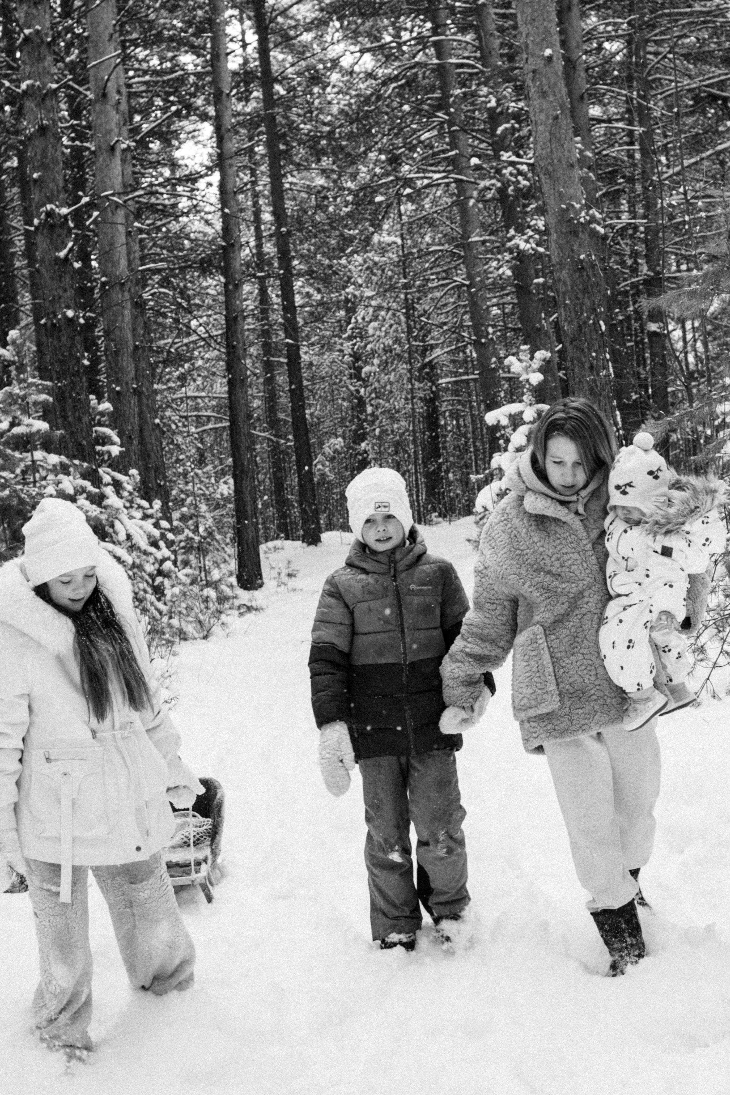 Семья Куркиных | 2026