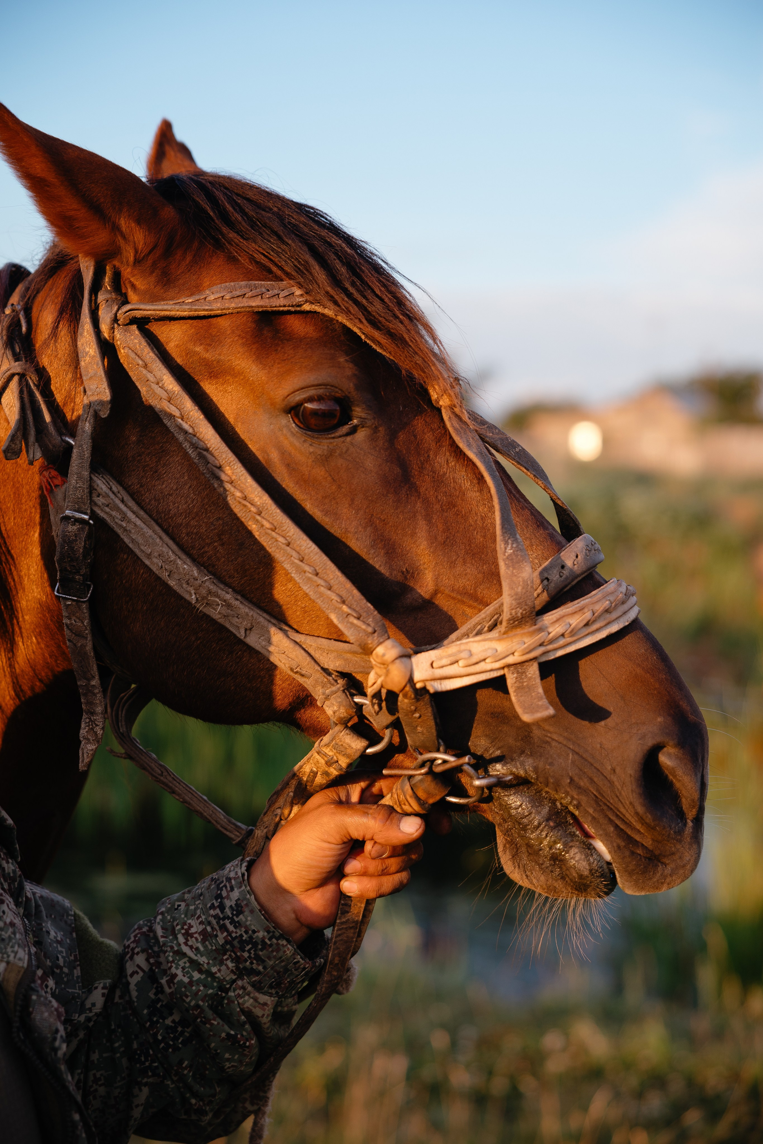 Д. Урасхан. Свадебный фотограф Виктория