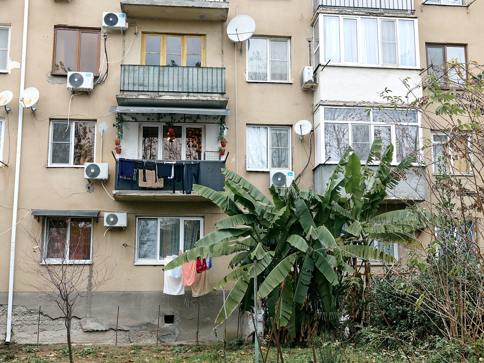 Гагра, Абхазия. Декабрь 2024. Фотографии отовсюду и обо всем