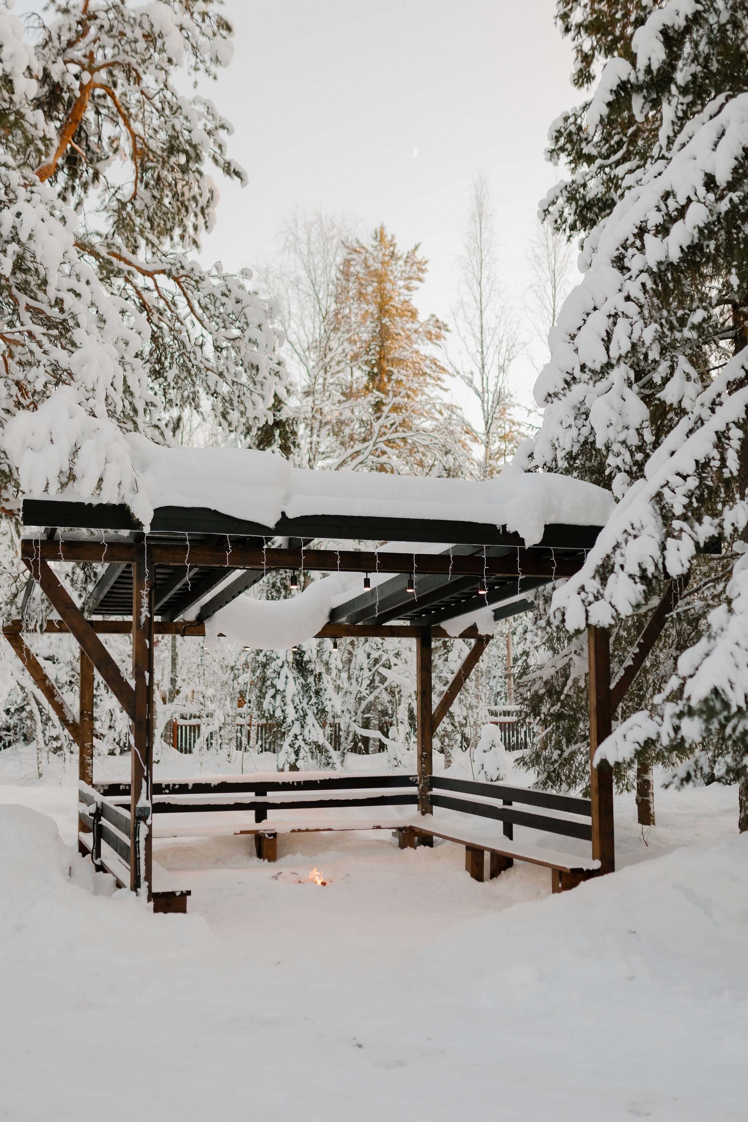 Зимняя прогулка за городом в Мурманске на фоне бескрайних заснеженных лесов.
