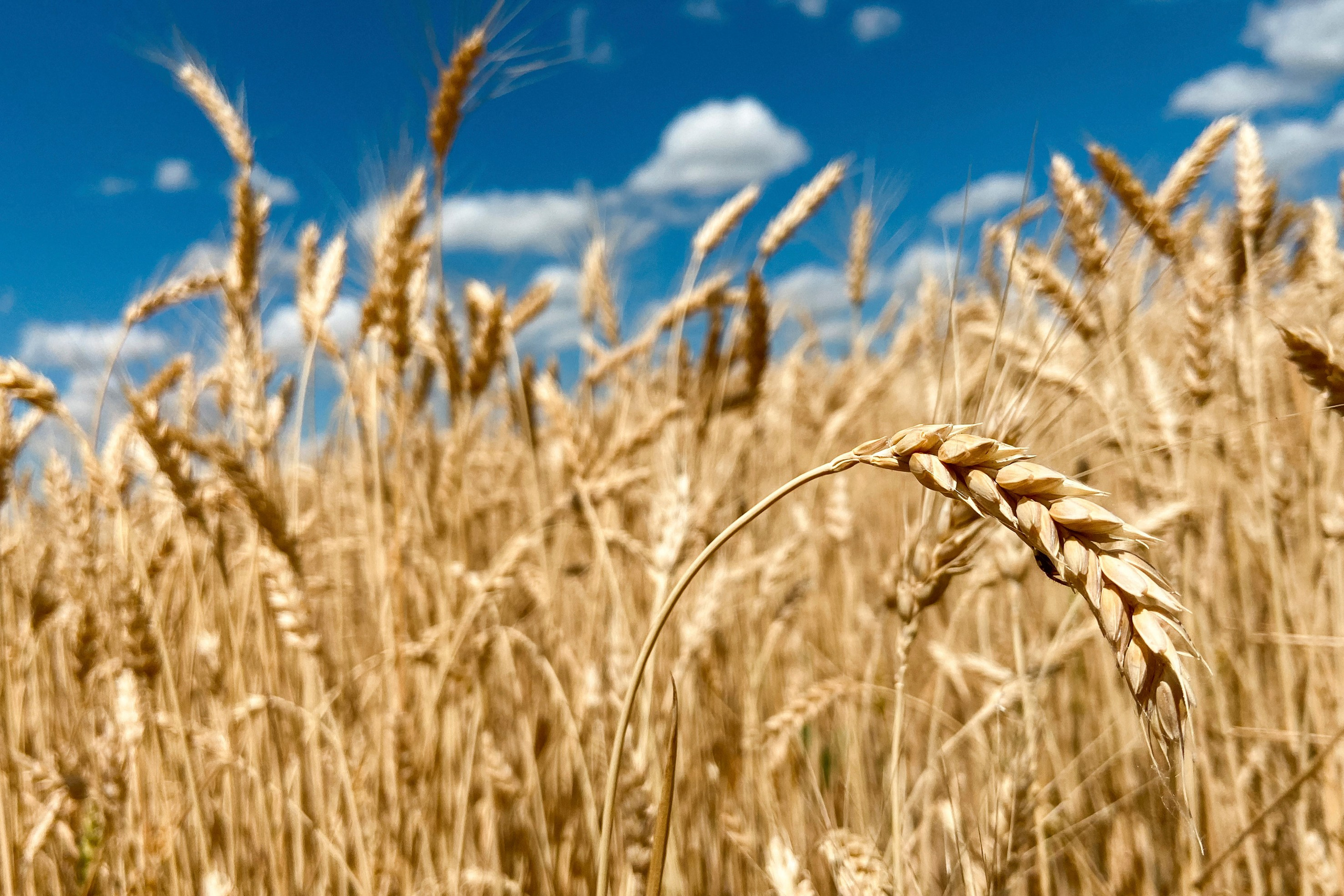 Природа. Команда фотографов Кристины Ивановой