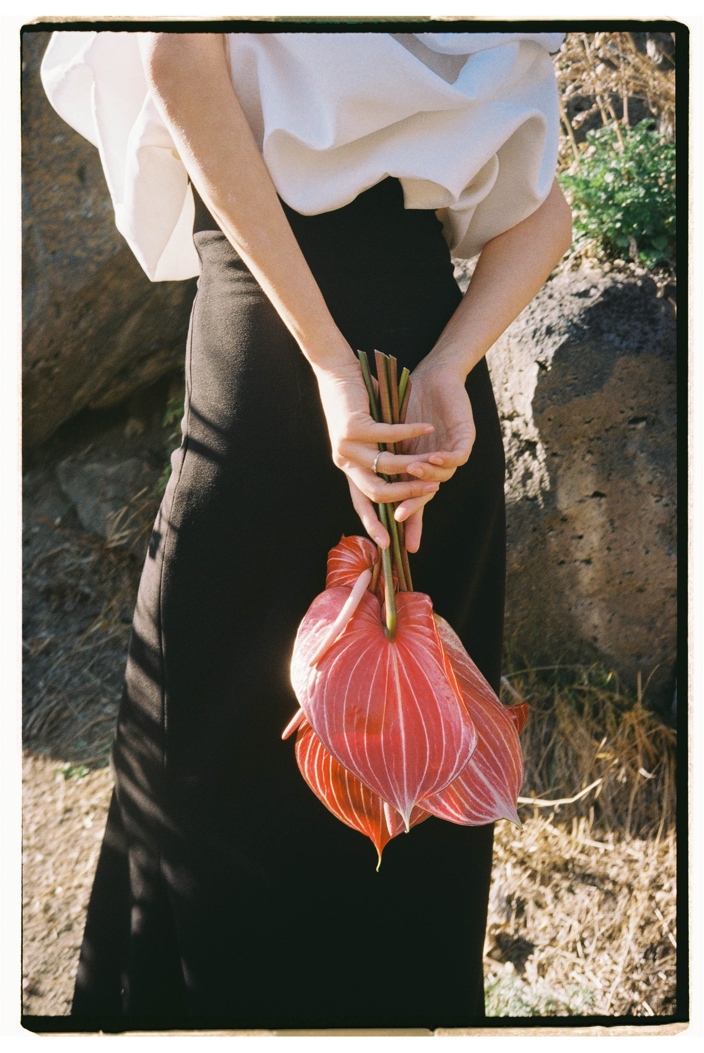 Армен и Диана. Свадебный фотограф Михаил Мирзоян