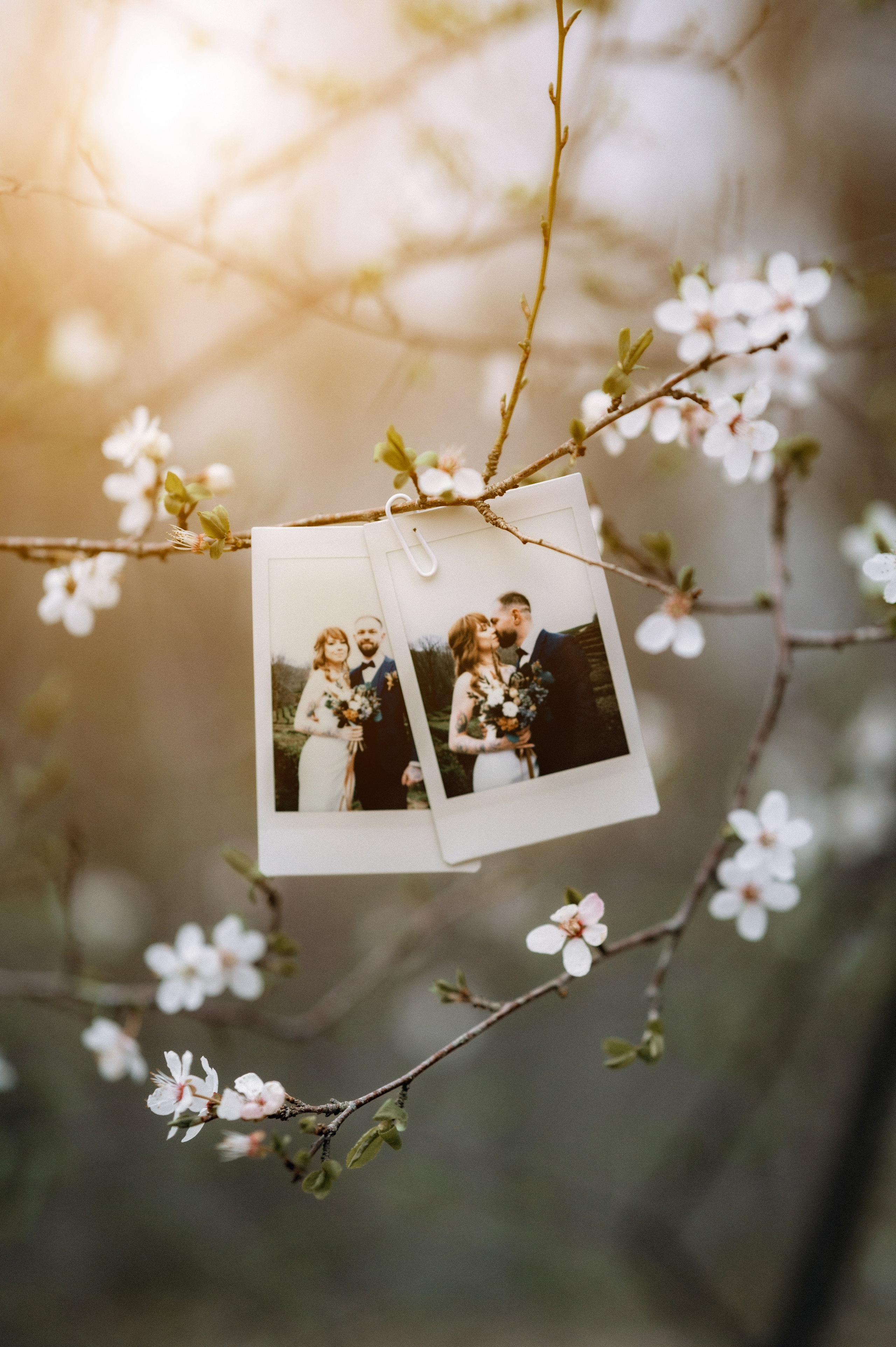 Весенняя любовь. Семейный и свадебный фотограф в Самаре