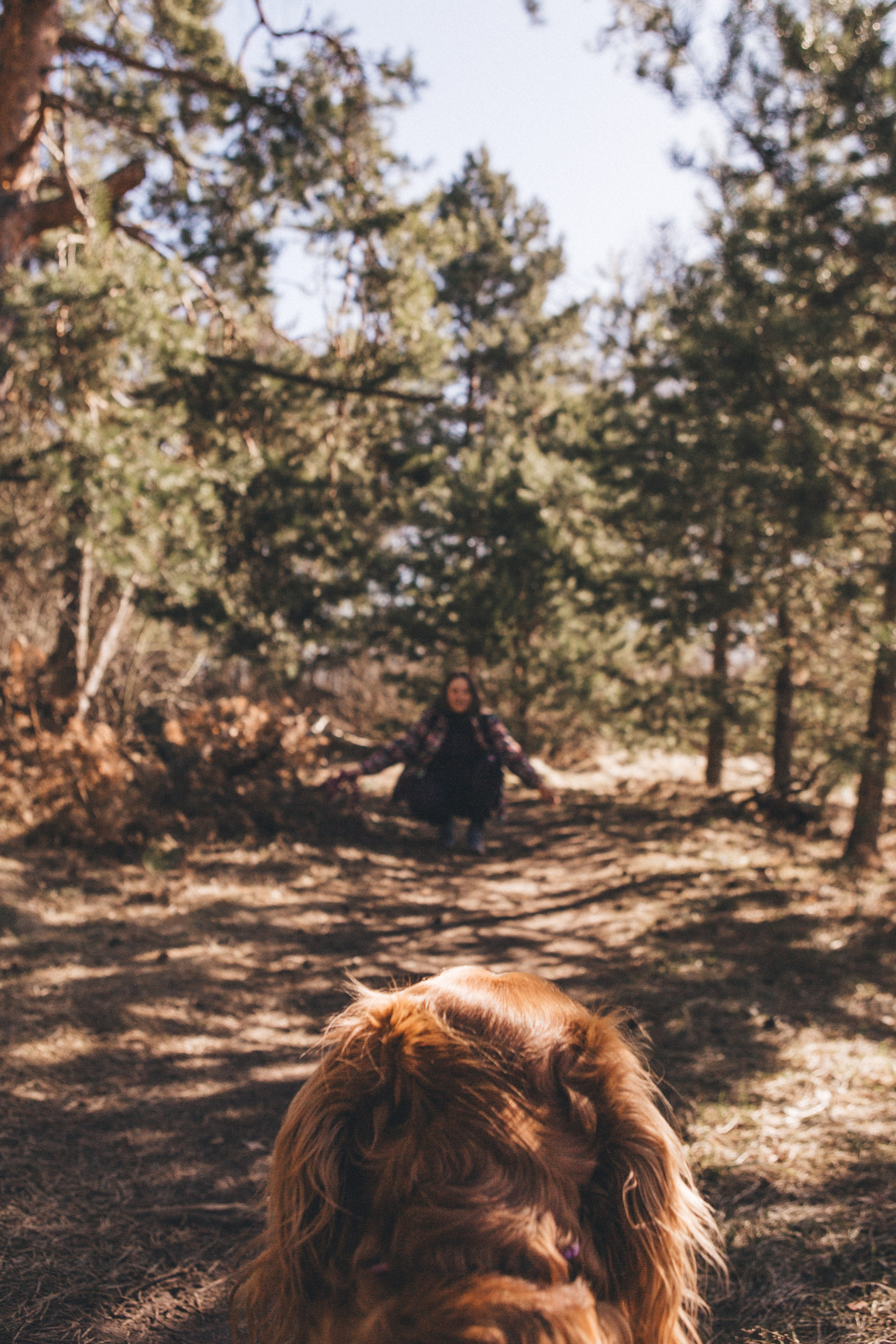 Julia & Jessie. Portrait, family and pet photographer in Cyprus, Ksenia Bourdelle