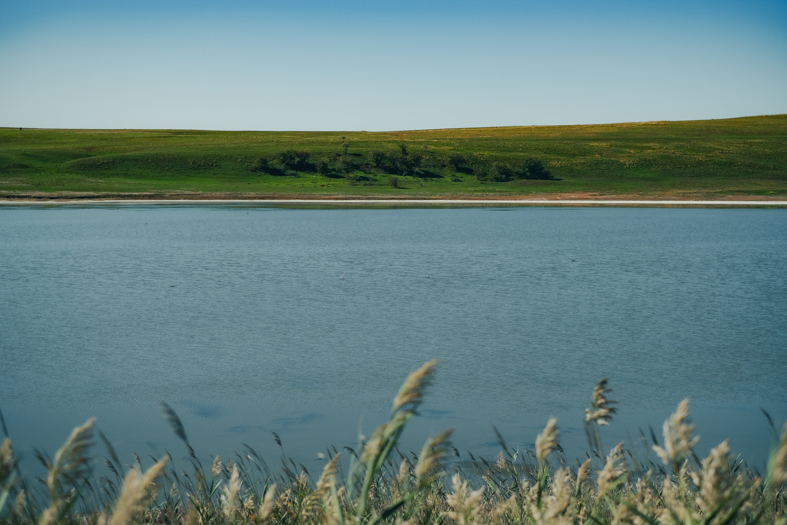 Georgia travel. Photographer in Tbilisi