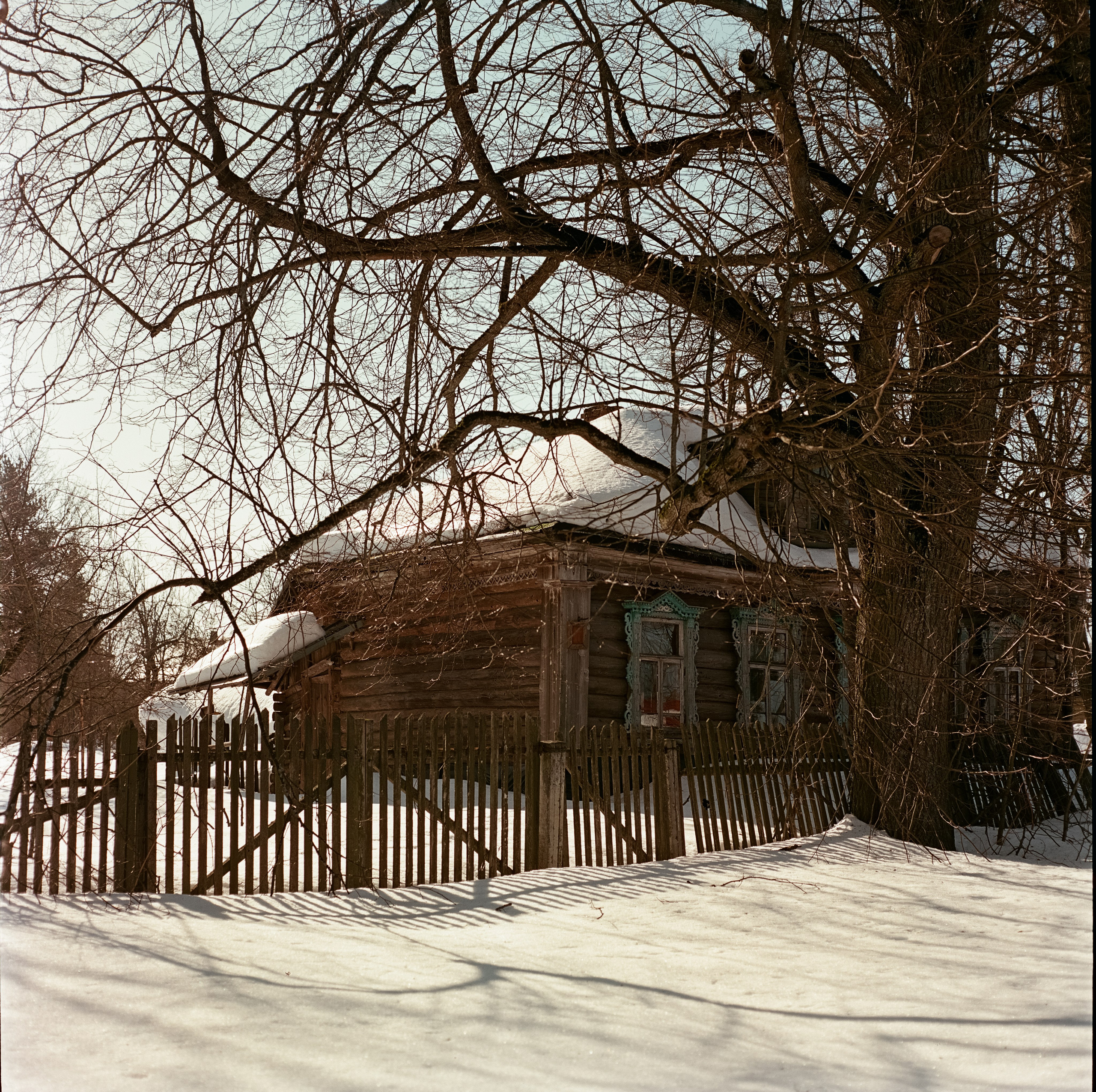 Kowa Six / Kodak Aerocolor IV C-41 / Лукино