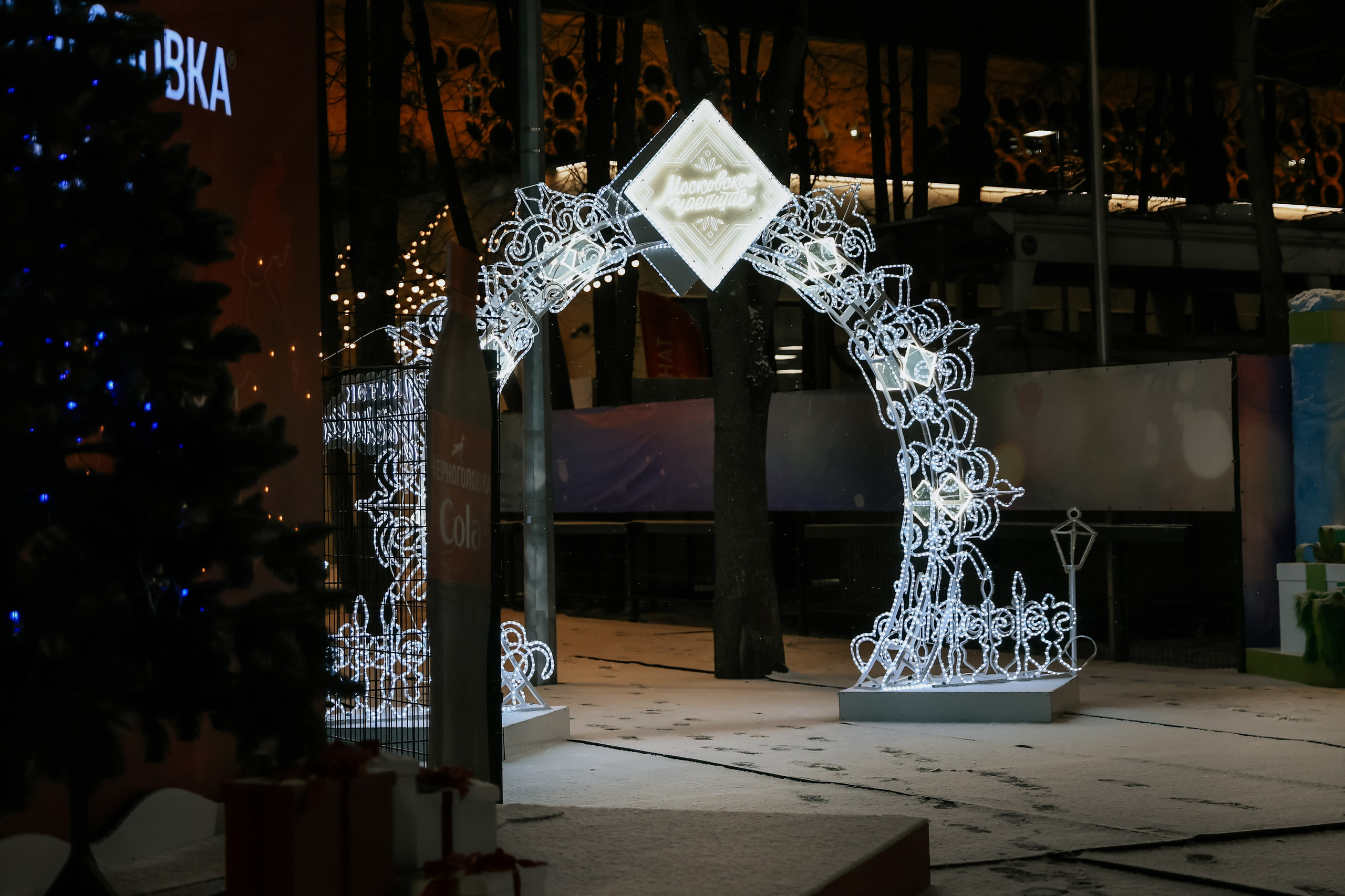 Ледовое Шоу Лужники. Фотограф и видеограф Анна Домашенко