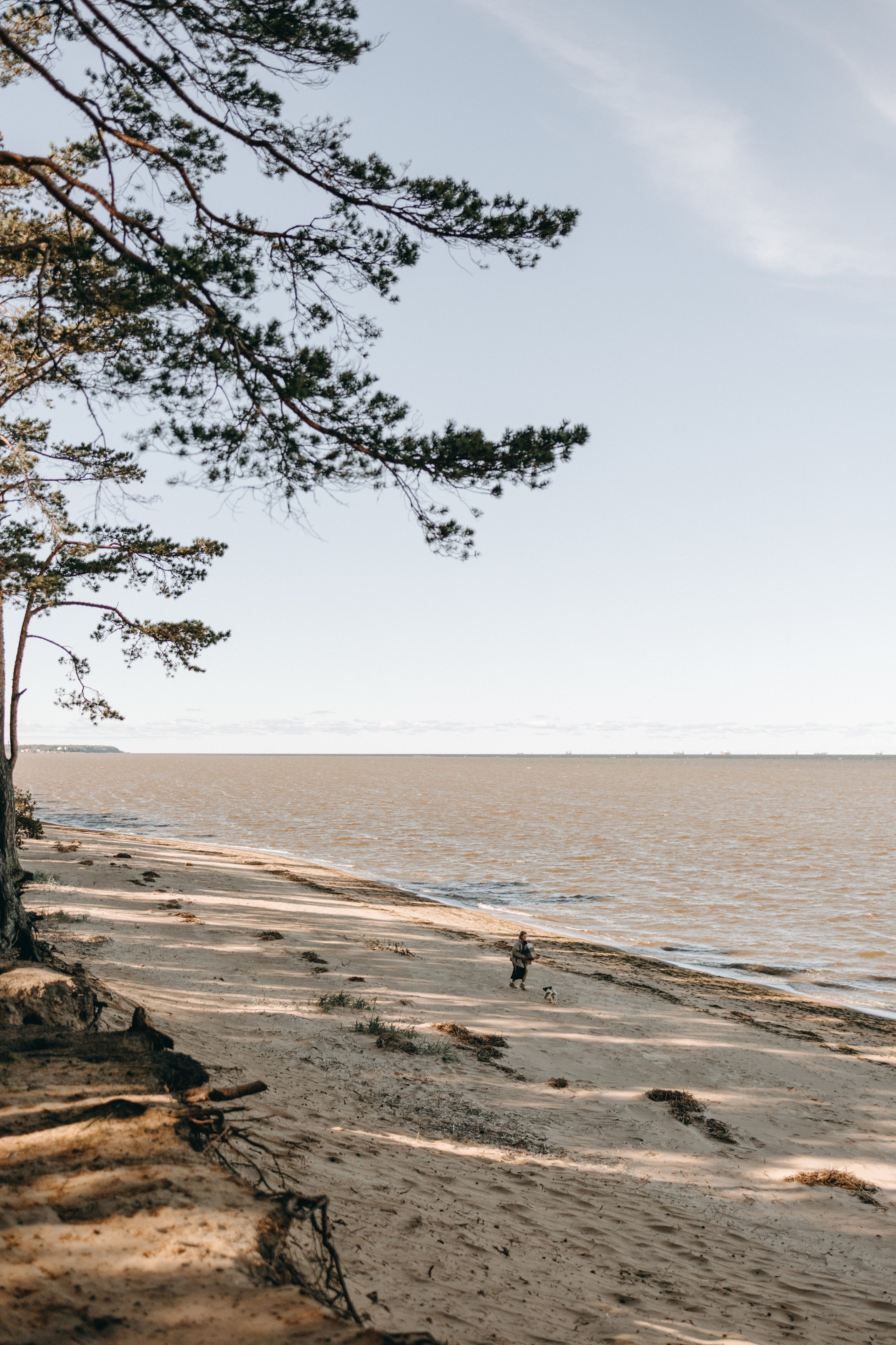 Настя и Франт. Фотограф — Анималист | Санкт-Петербург