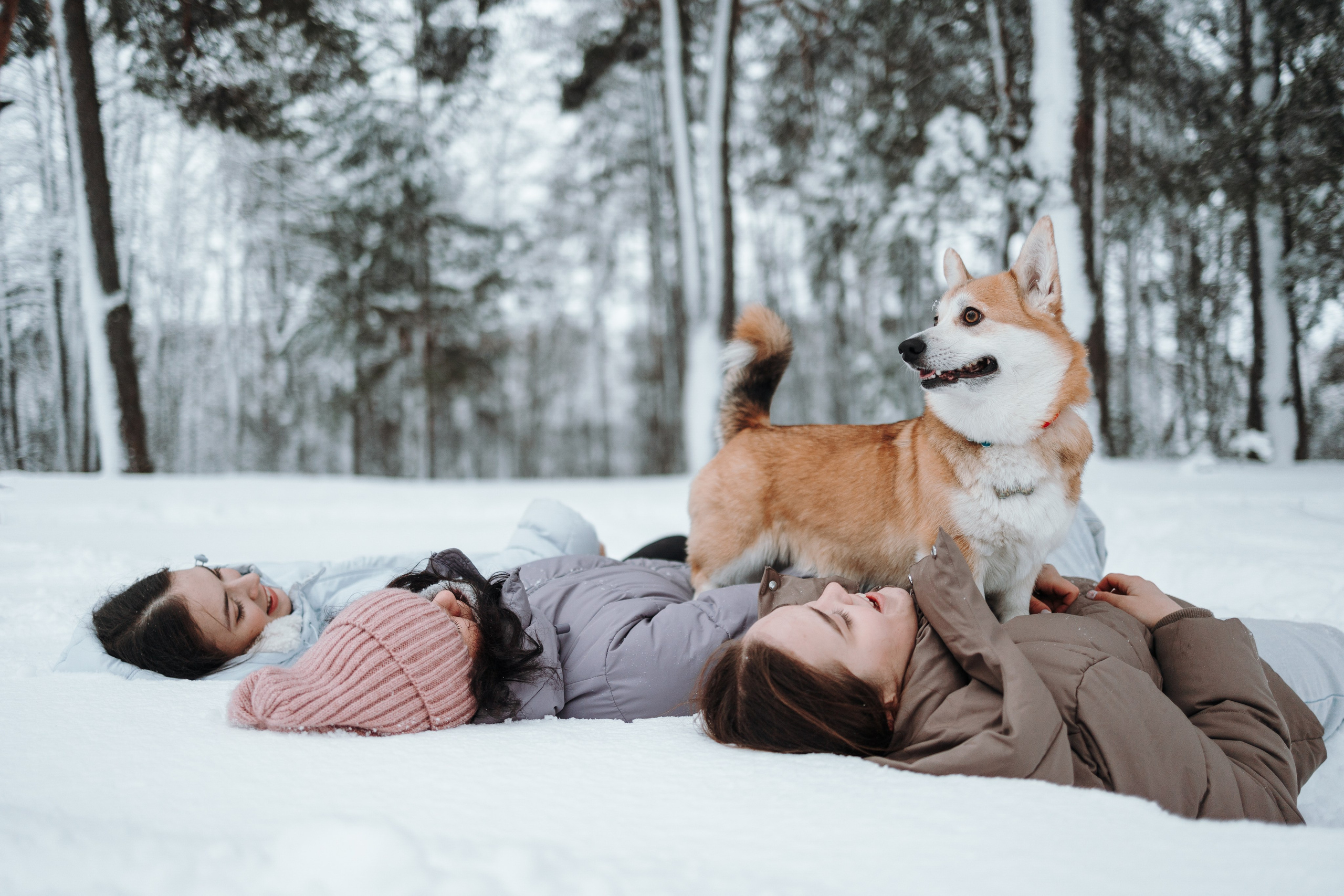 Оливка и ее семья. Фотограф — Анималист | Санкт-Петербург