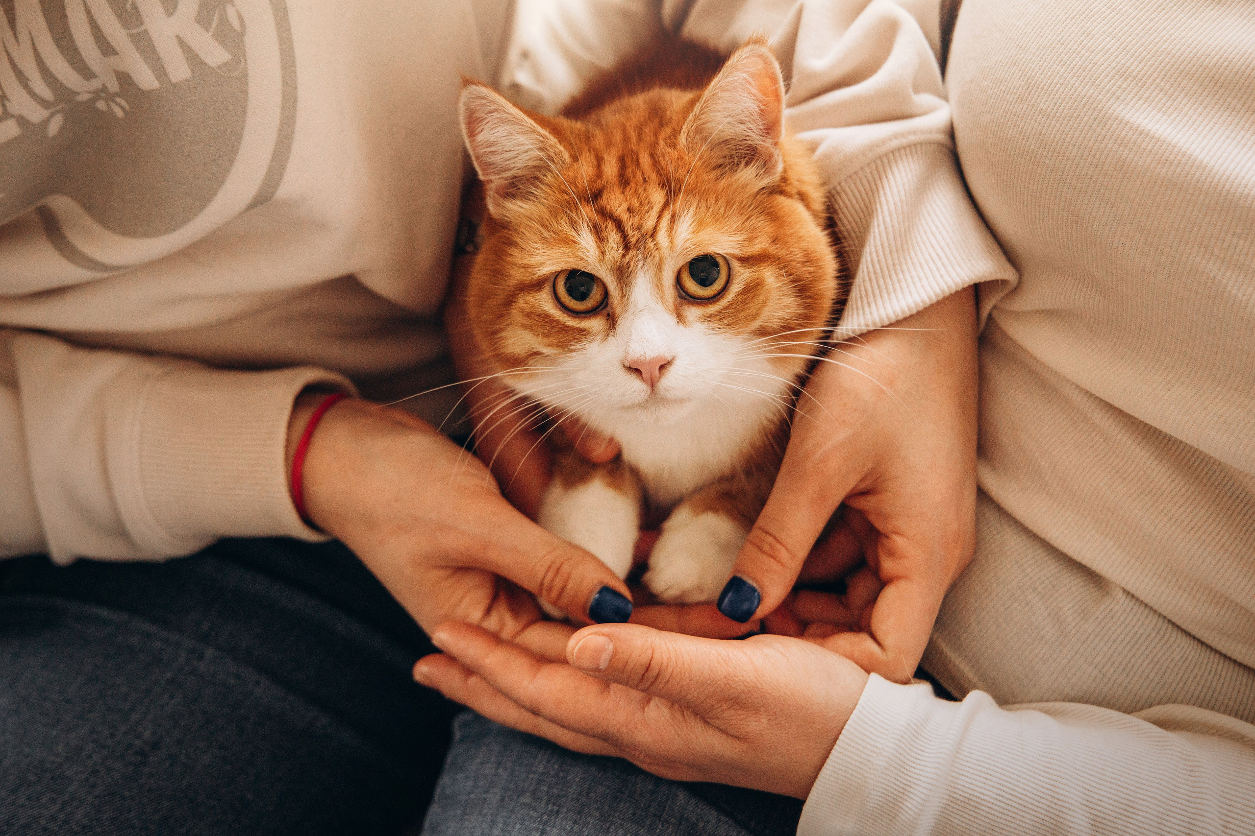 Аня и ее семья. Фотограф — Анималист | Санкт-Петербург