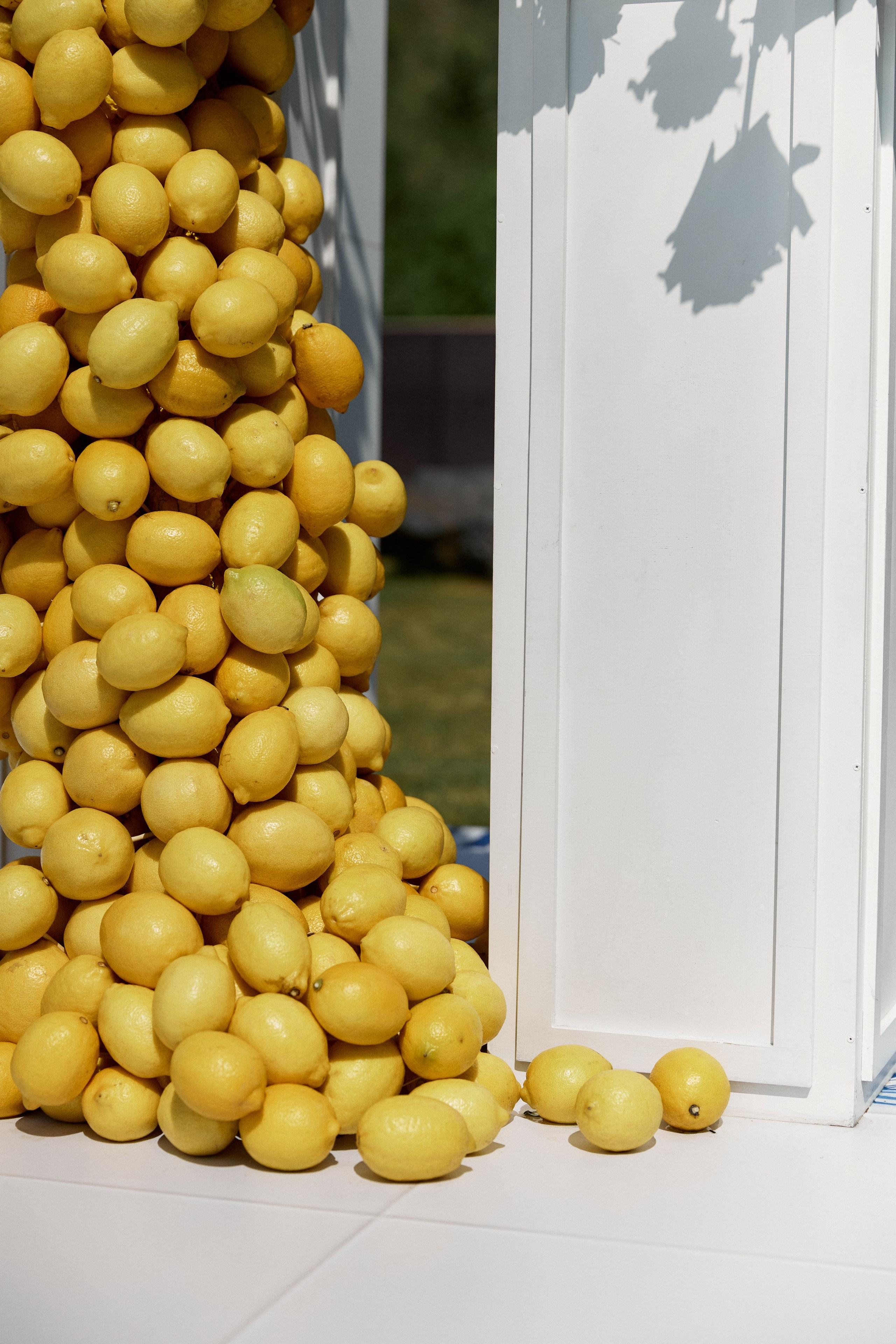 Посмотреть серию. Свадебный и семейный фотограф в Красноярске Тряпчев Павел