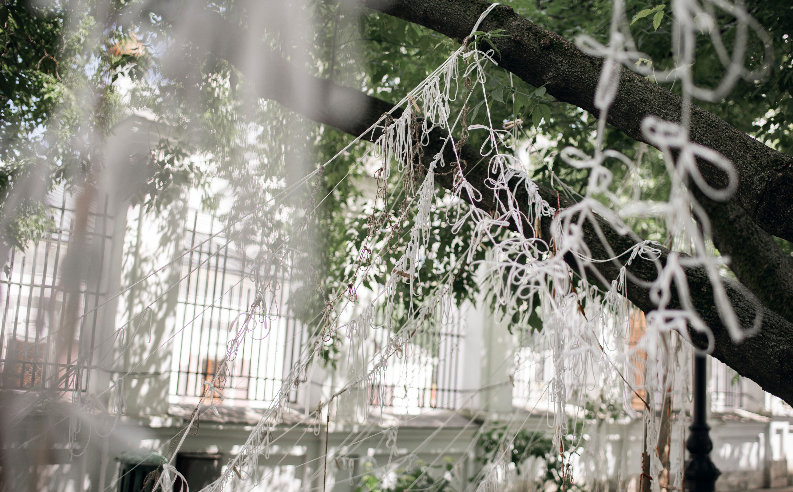 Выставка в доме Третьяковых. Фотограф в Москве Алейникова Евгения